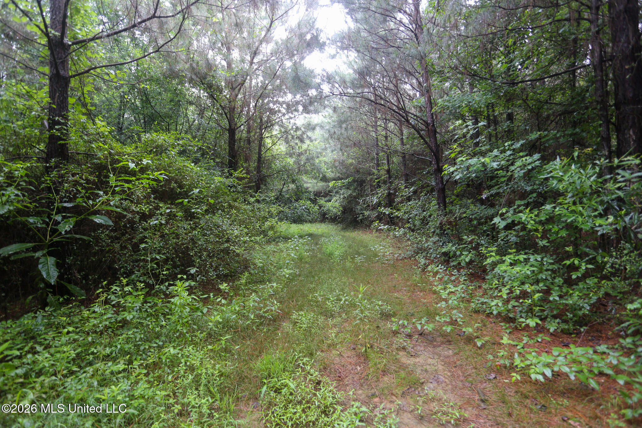 Oak Grove Road Property Photo 12
