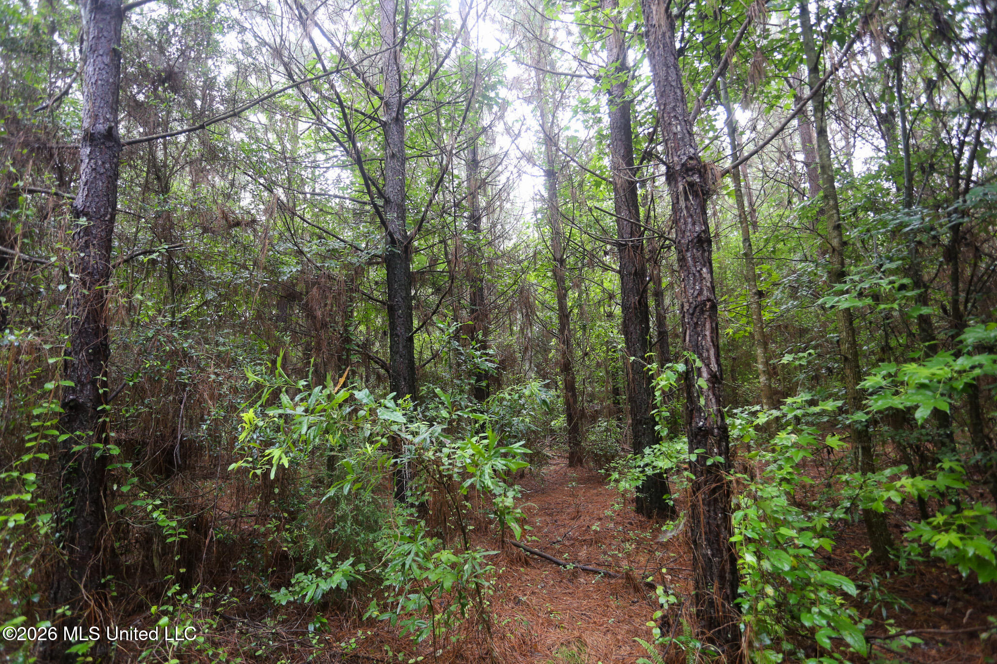 Oak Grove Road Property Photo 13