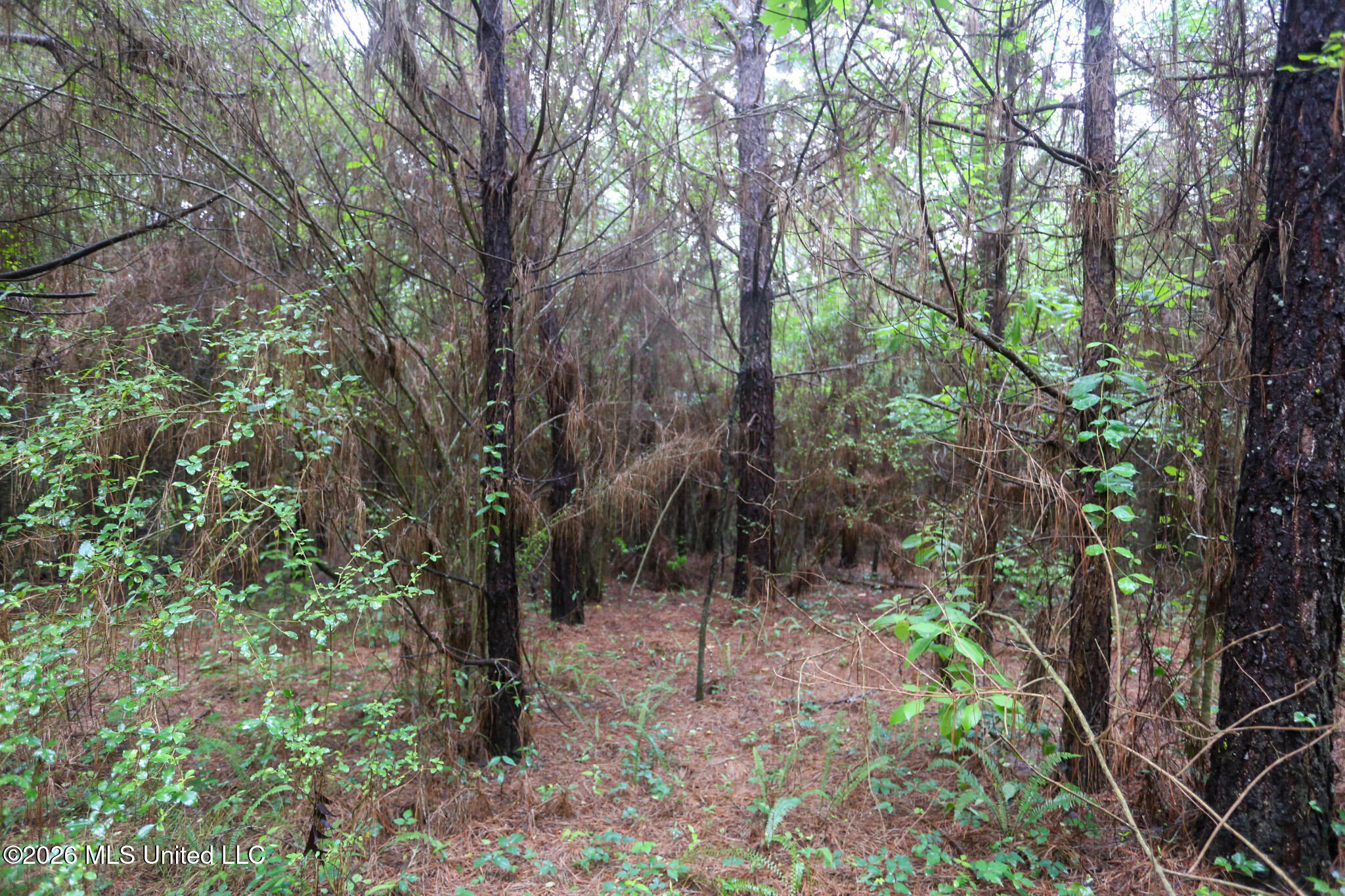 Oak Grove Road Property Photo 14