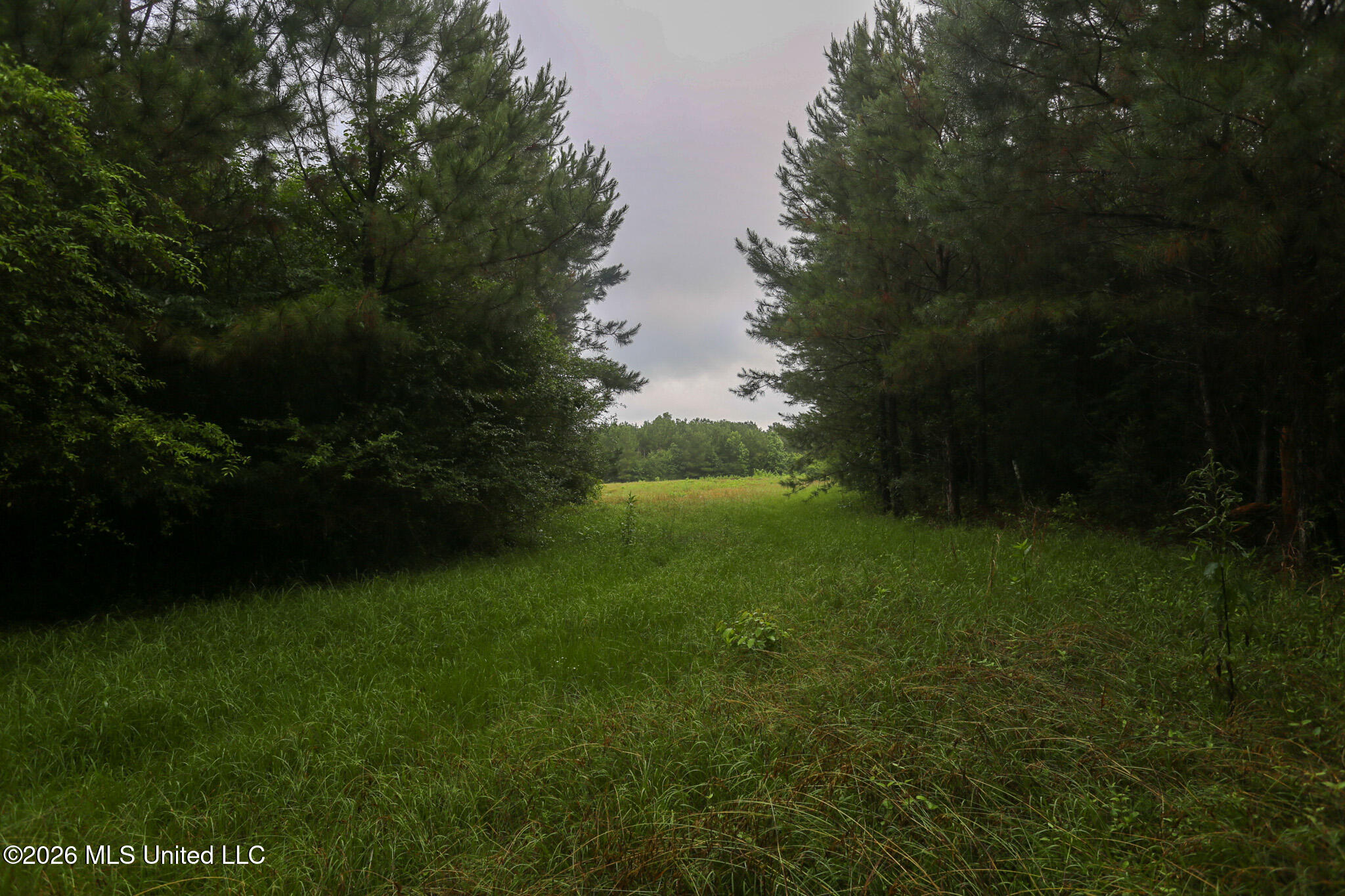 Oak Grove Road Property Photo 15