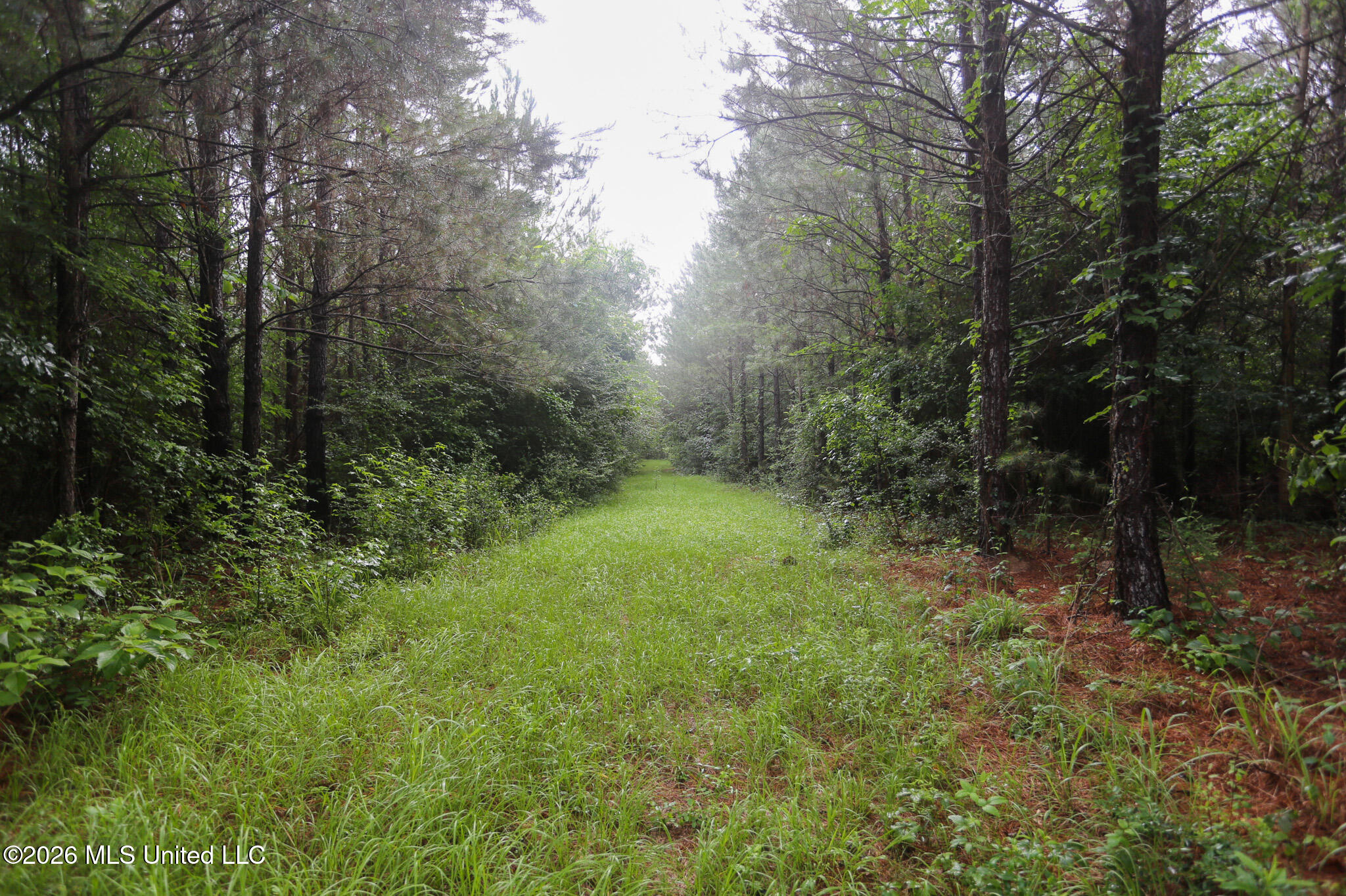 Oak Grove Road Property Photo 16