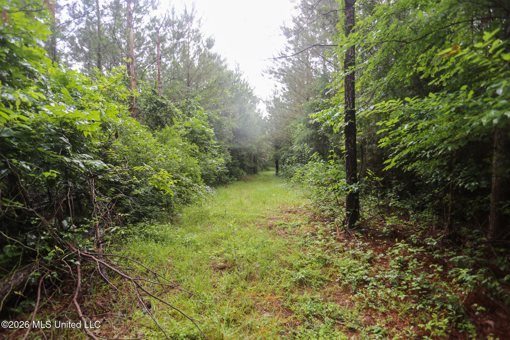 Oak Grove Road Property Photo 17