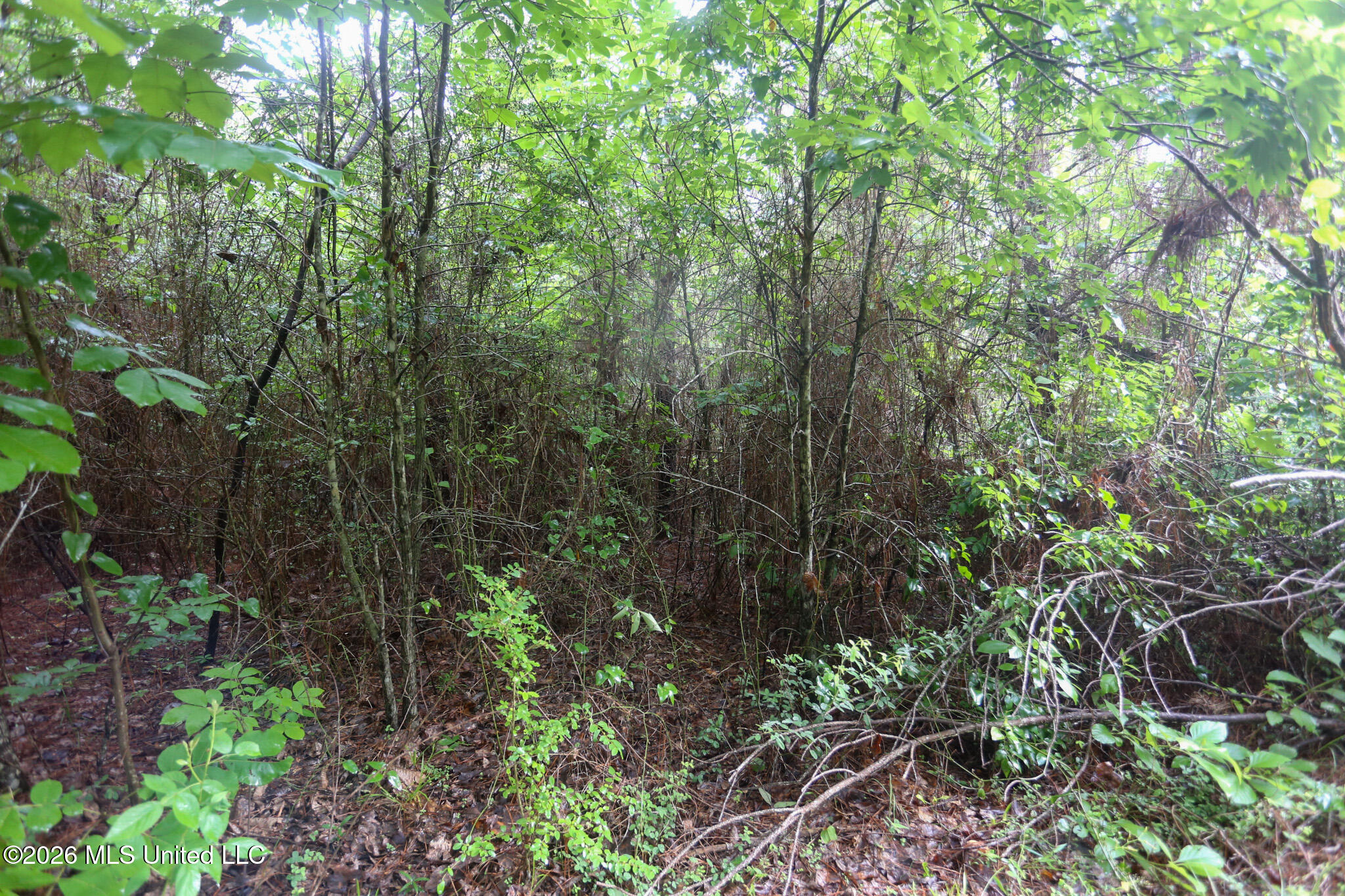 Oak Grove Road Property Photo 18