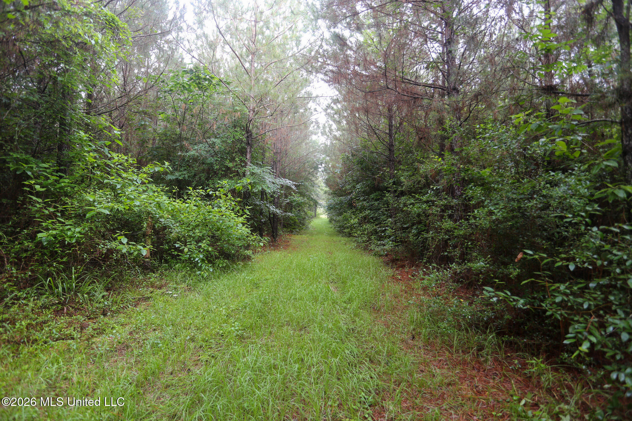 Oak Grove Road Property Photo 19