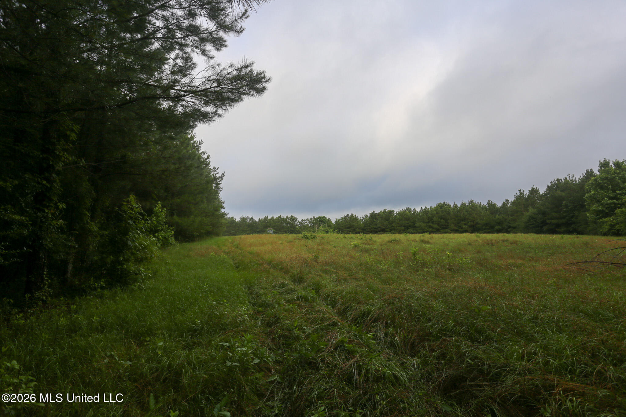 Oak Grove Road Property Photo 20