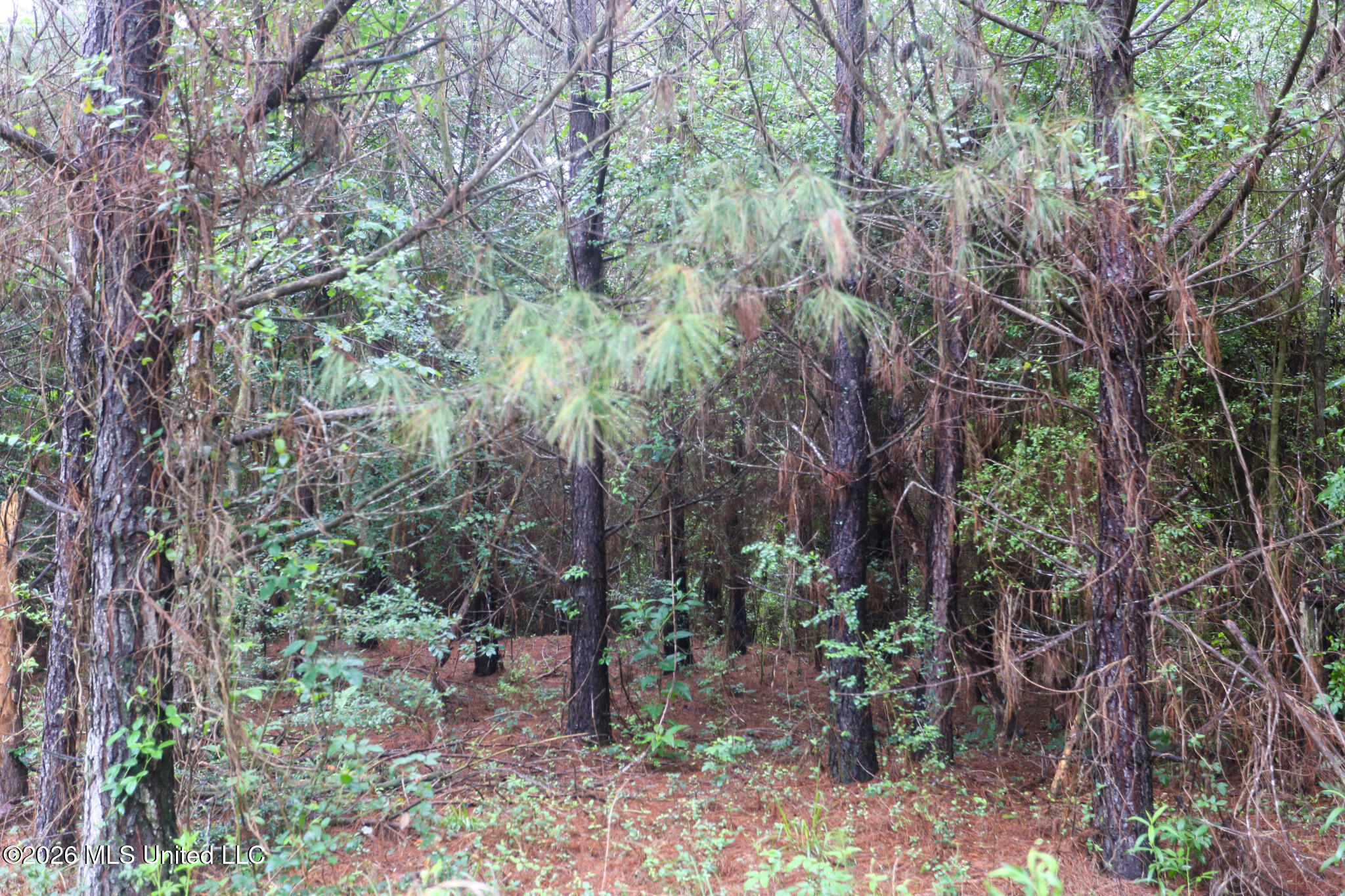 Oak Grove Road Property Photo 21