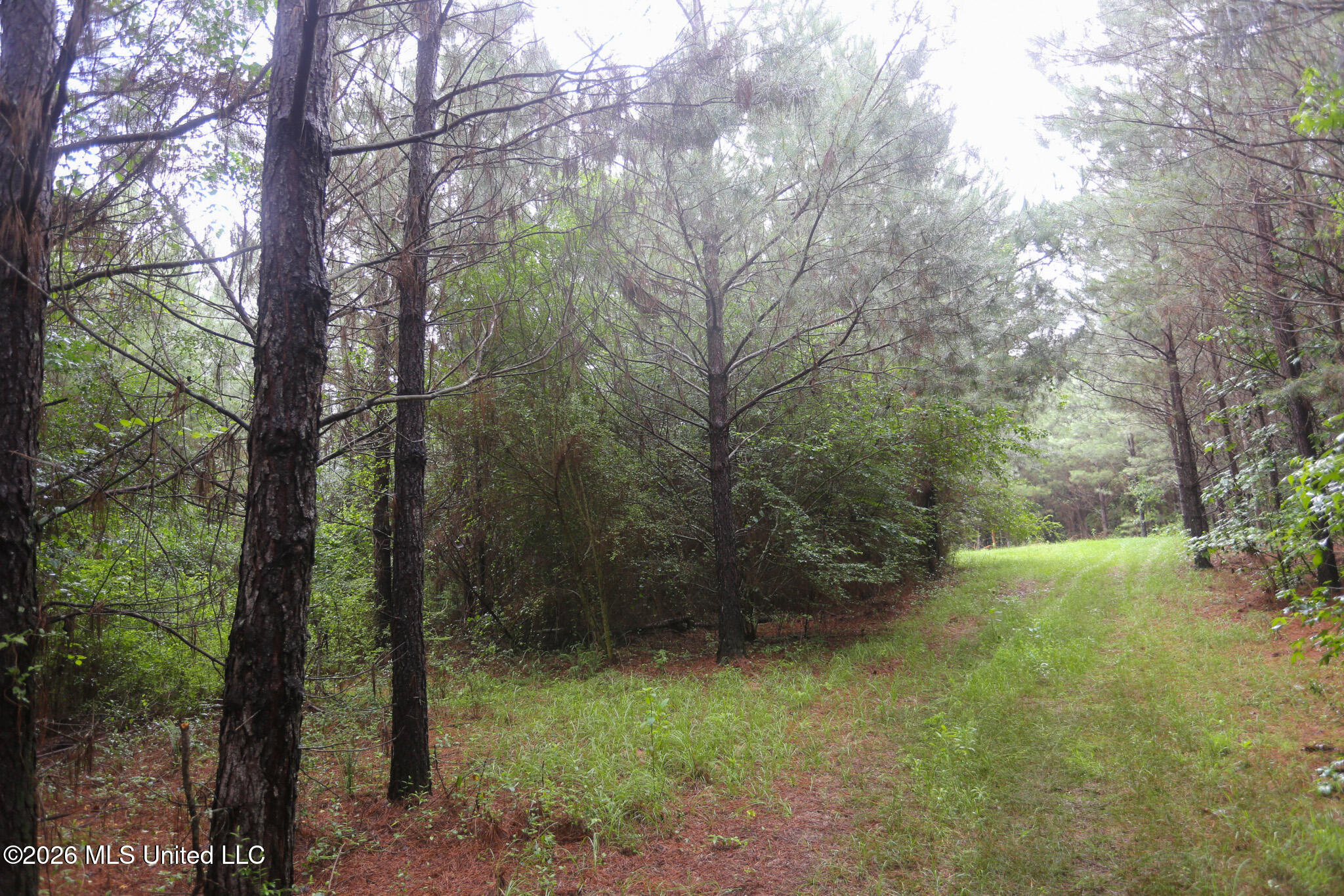 Oak Grove Road Property Photo 22