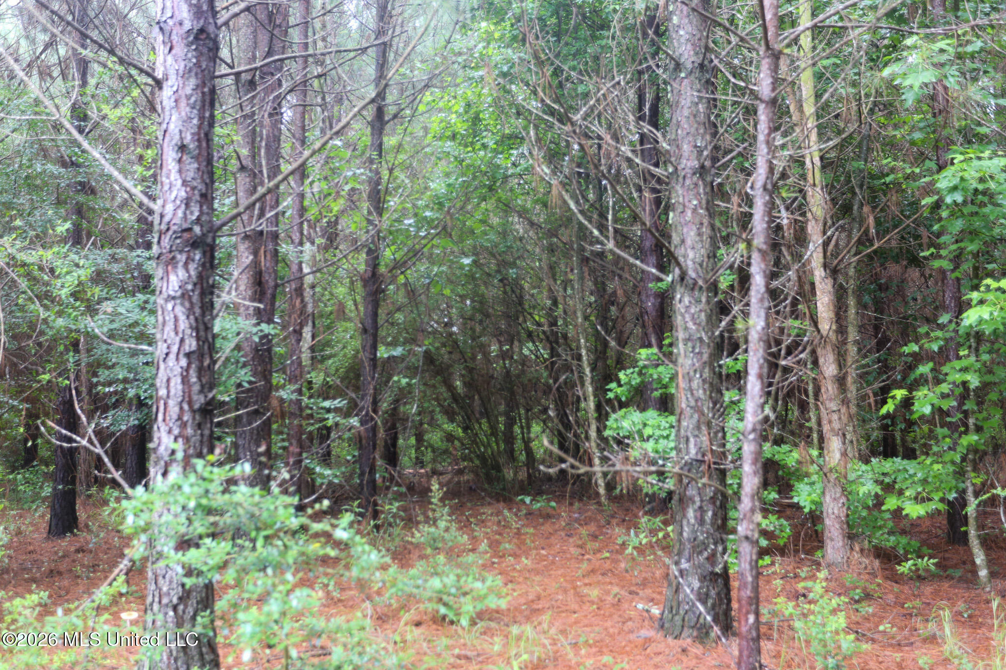 Oak Grove Road Property Photo 23