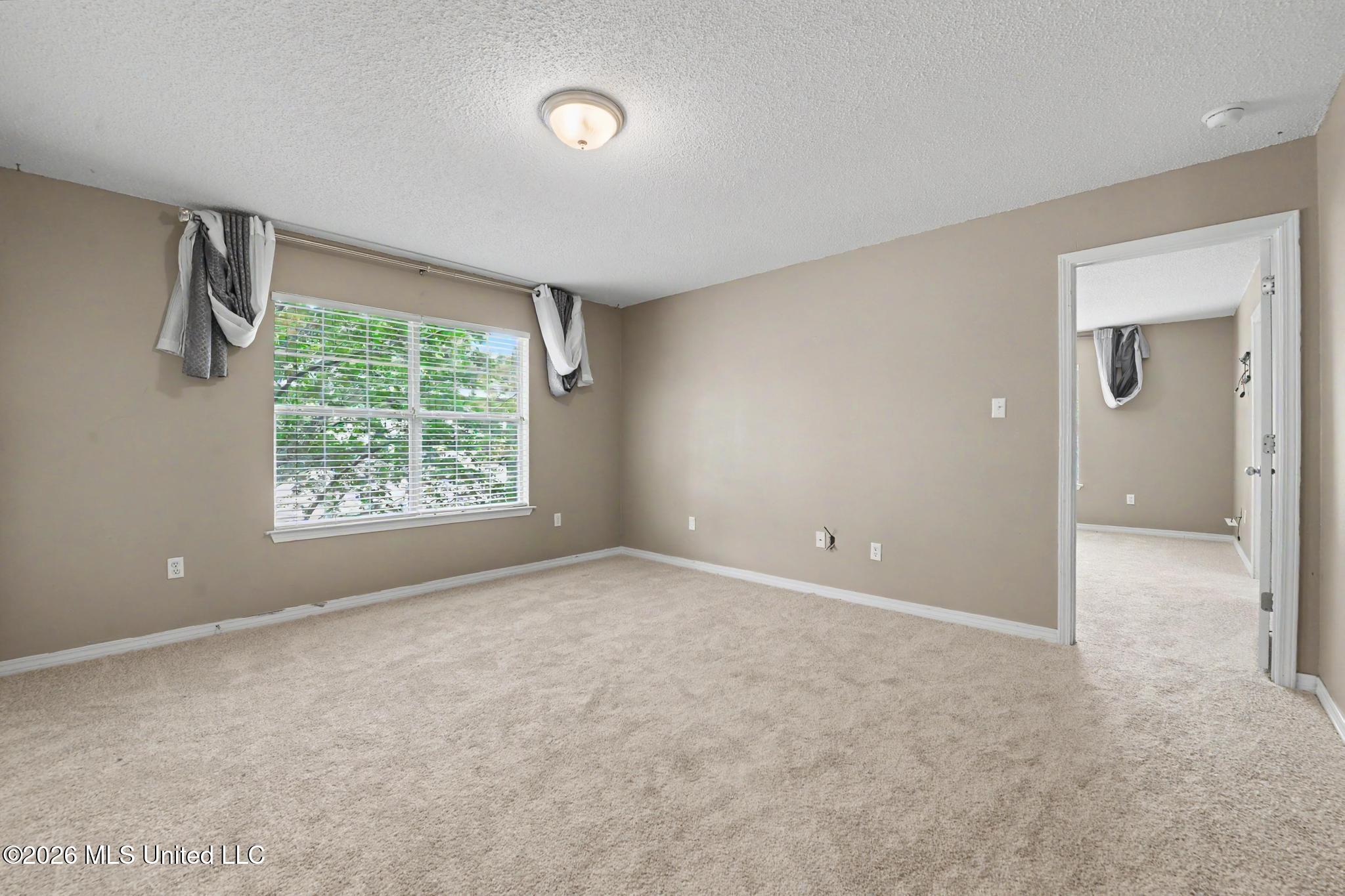 3814 Timber Lake Drive Property Photo 12
