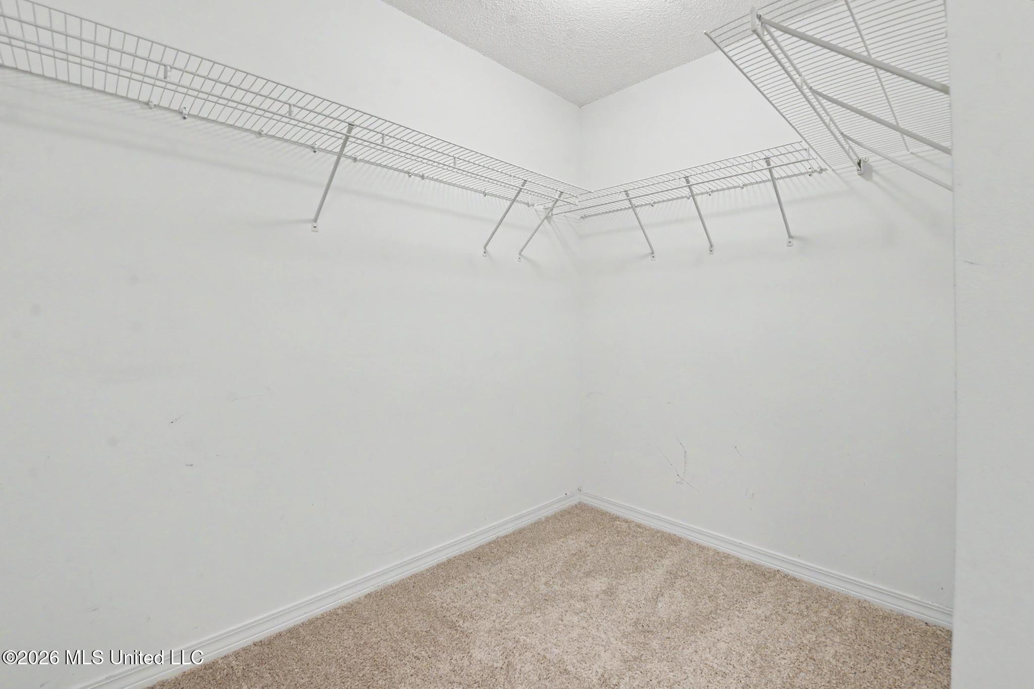 3814 Timber Lake Drive Property Photo 18