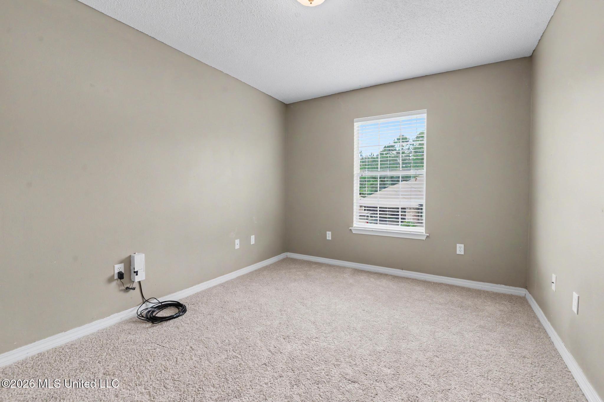 3814 Timber Lake Drive Property Photo 19