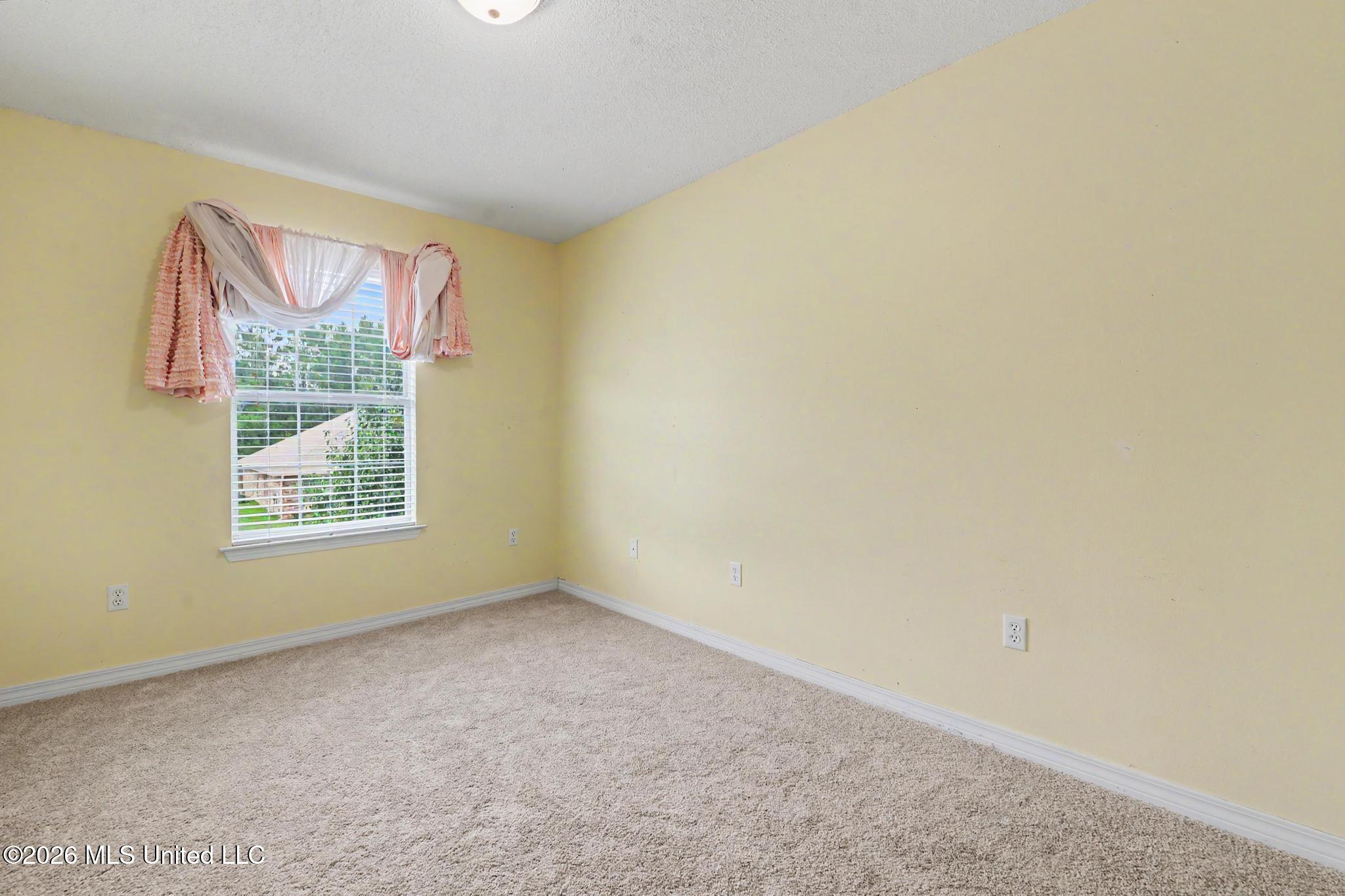 3814 Timber Lake Drive Property Photo 21