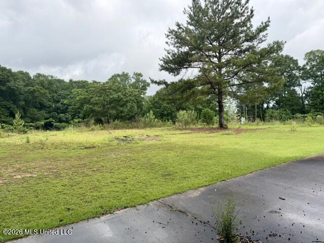 724 Vogel Street Property Photo 4