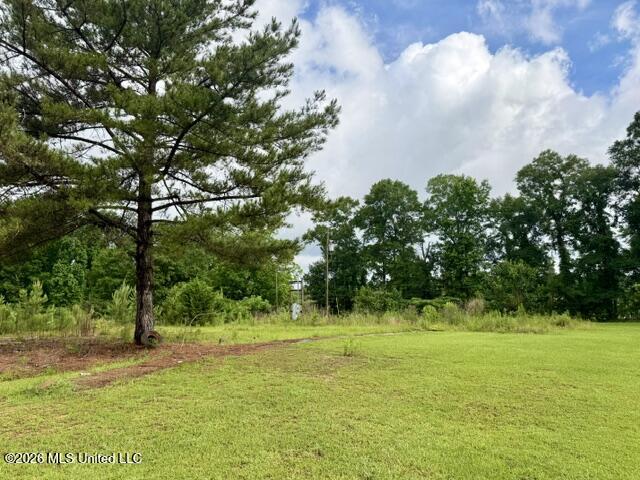 724 Vogel Street Property Photo 5