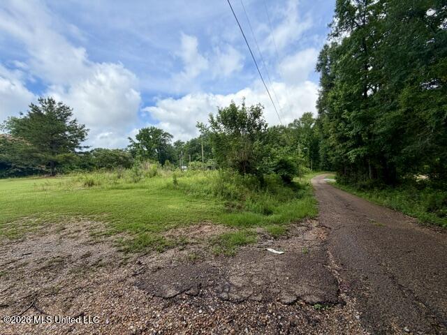 724 Vogel Street Property Photo 6