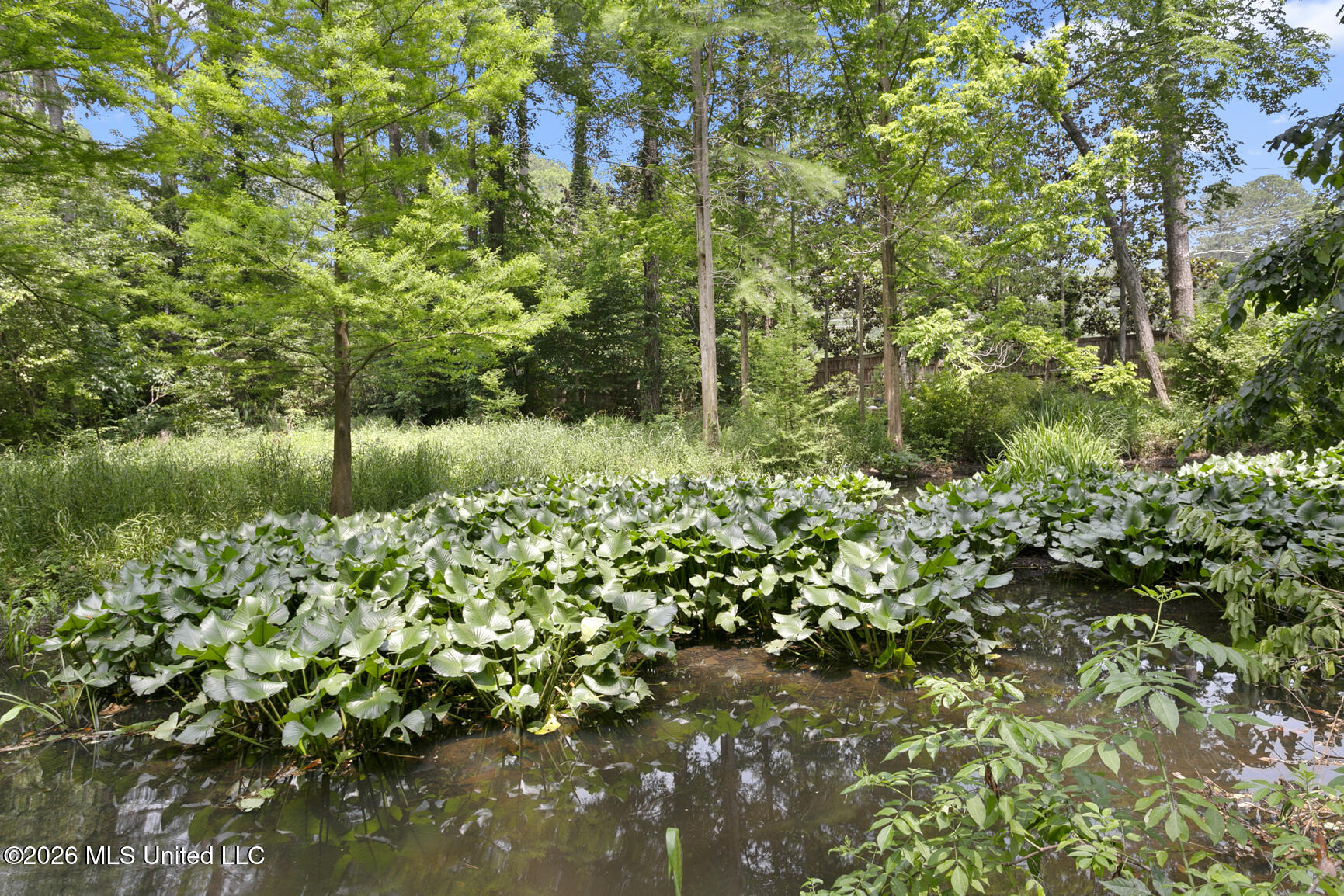 6 Pecan Hollow Drive Property Photo 53