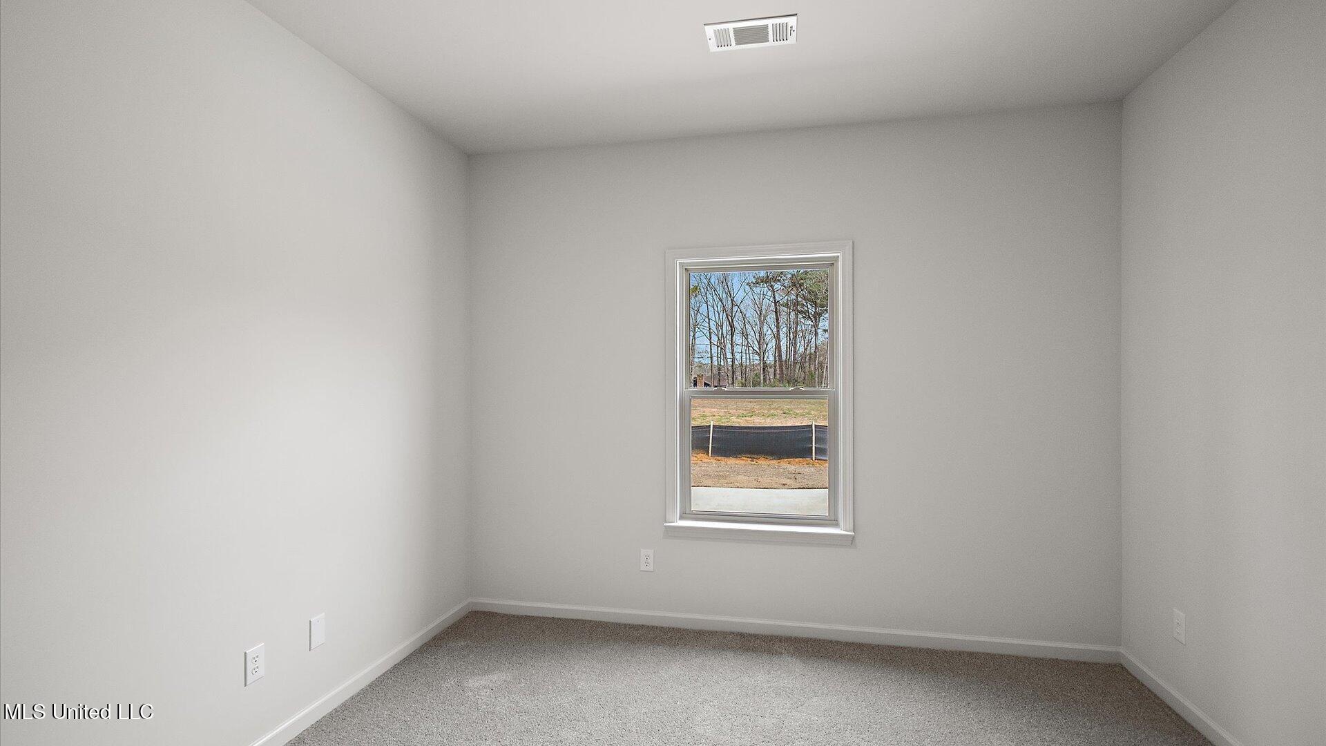 723 Honeysuckle Loop Property Photo 16