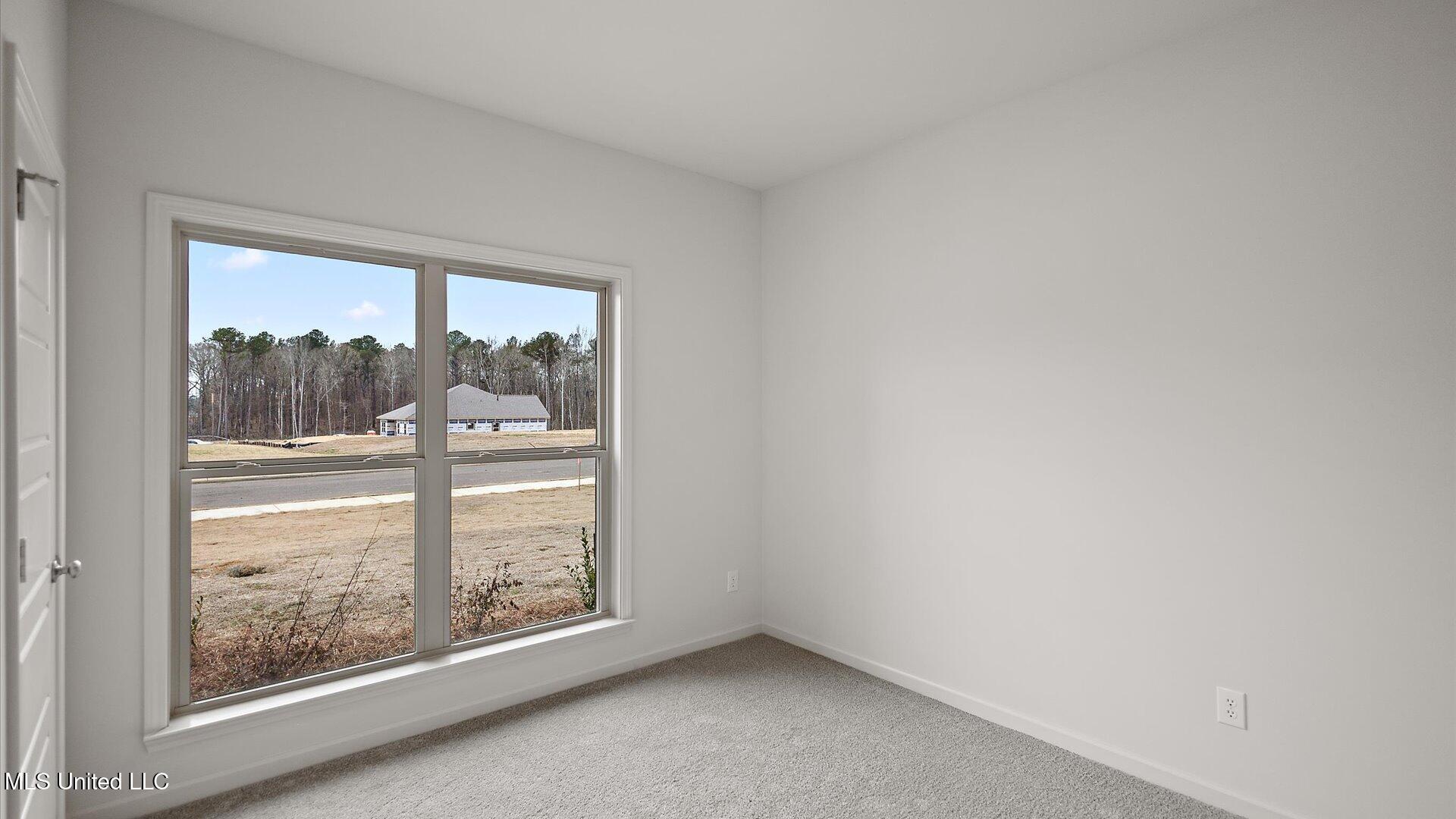 723 Honeysuckle Loop Property Photo 18