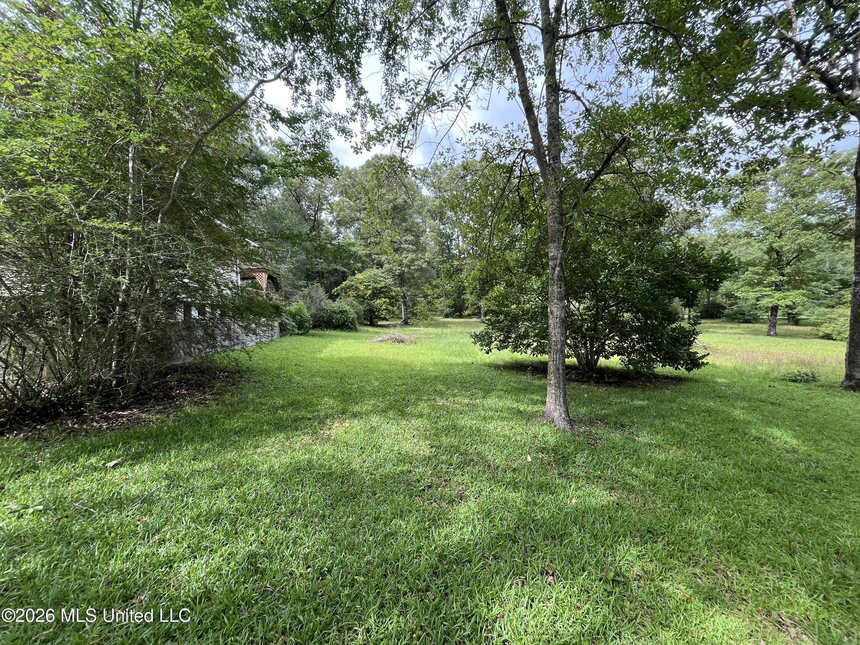 405 Old Highway 49 Property Photo 15