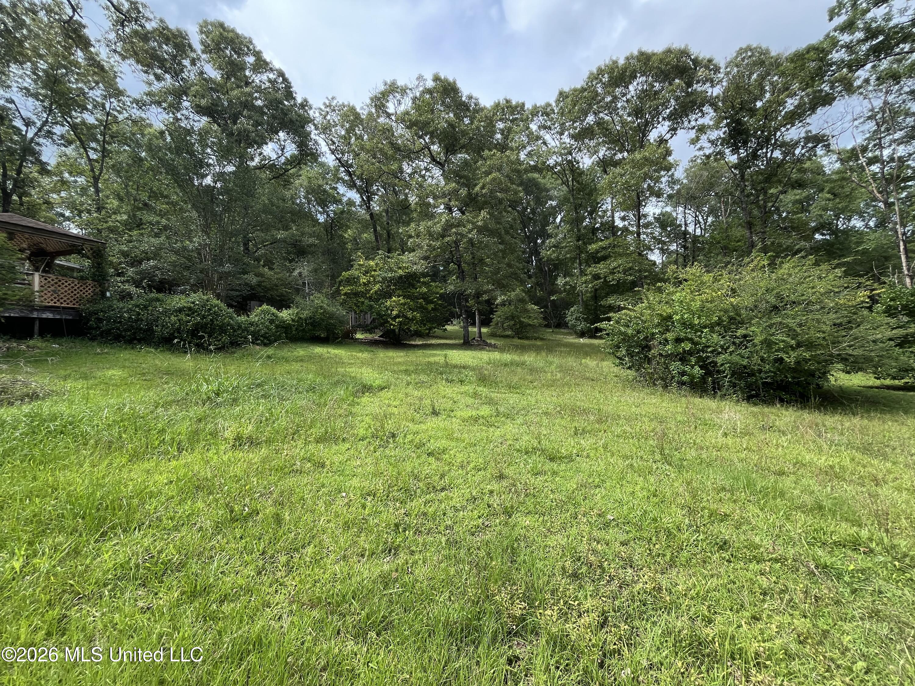 405 Old Highway 49 Property Photo 16