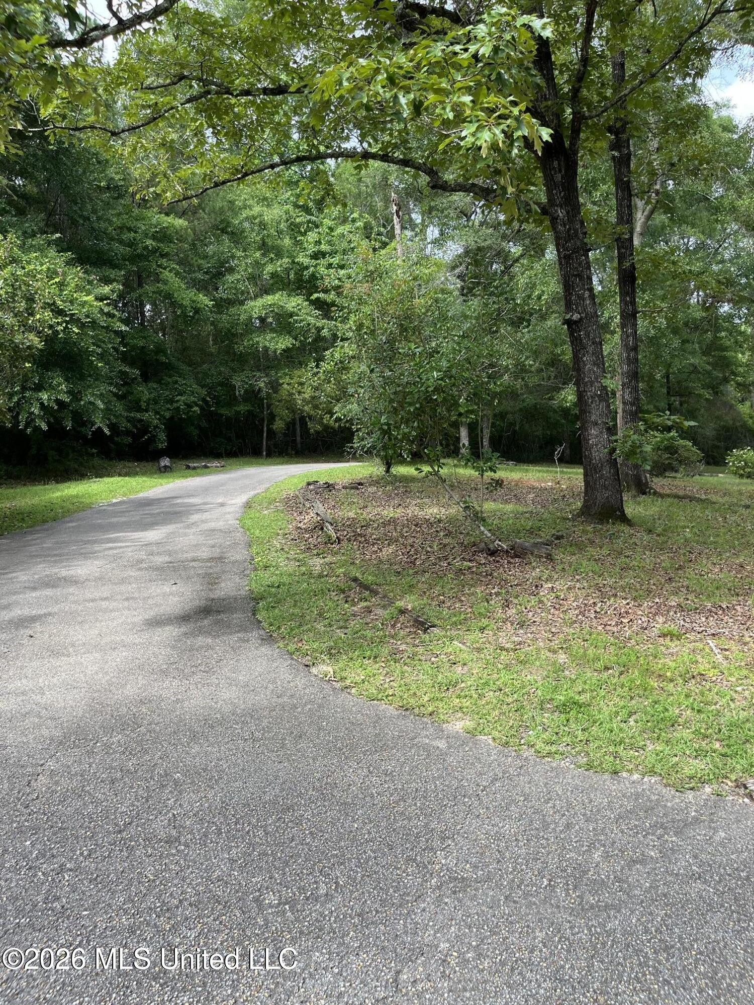 405 Old Highway 49 Property Photo 17