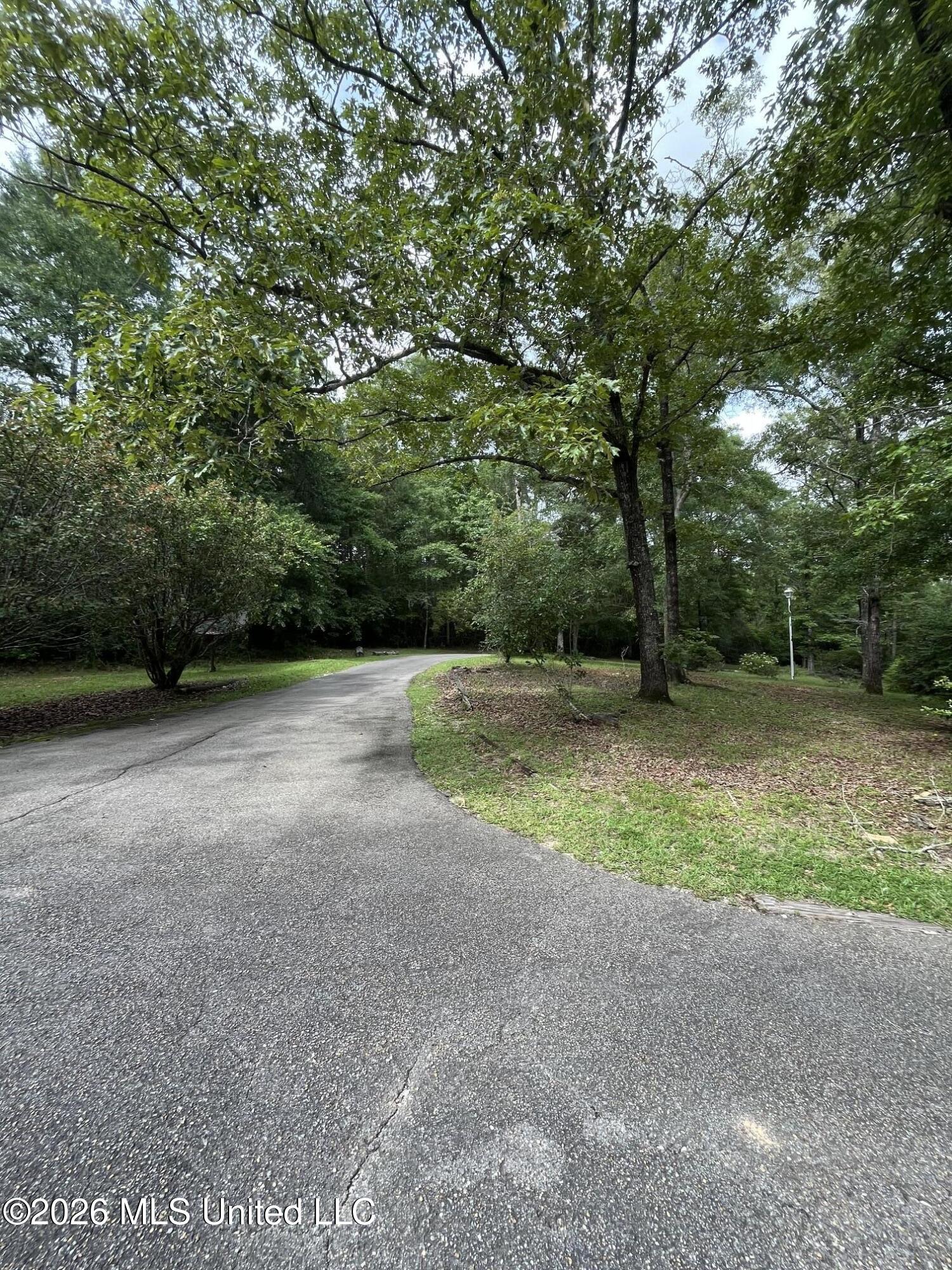 405 Old Highway 49 Property Photo 18