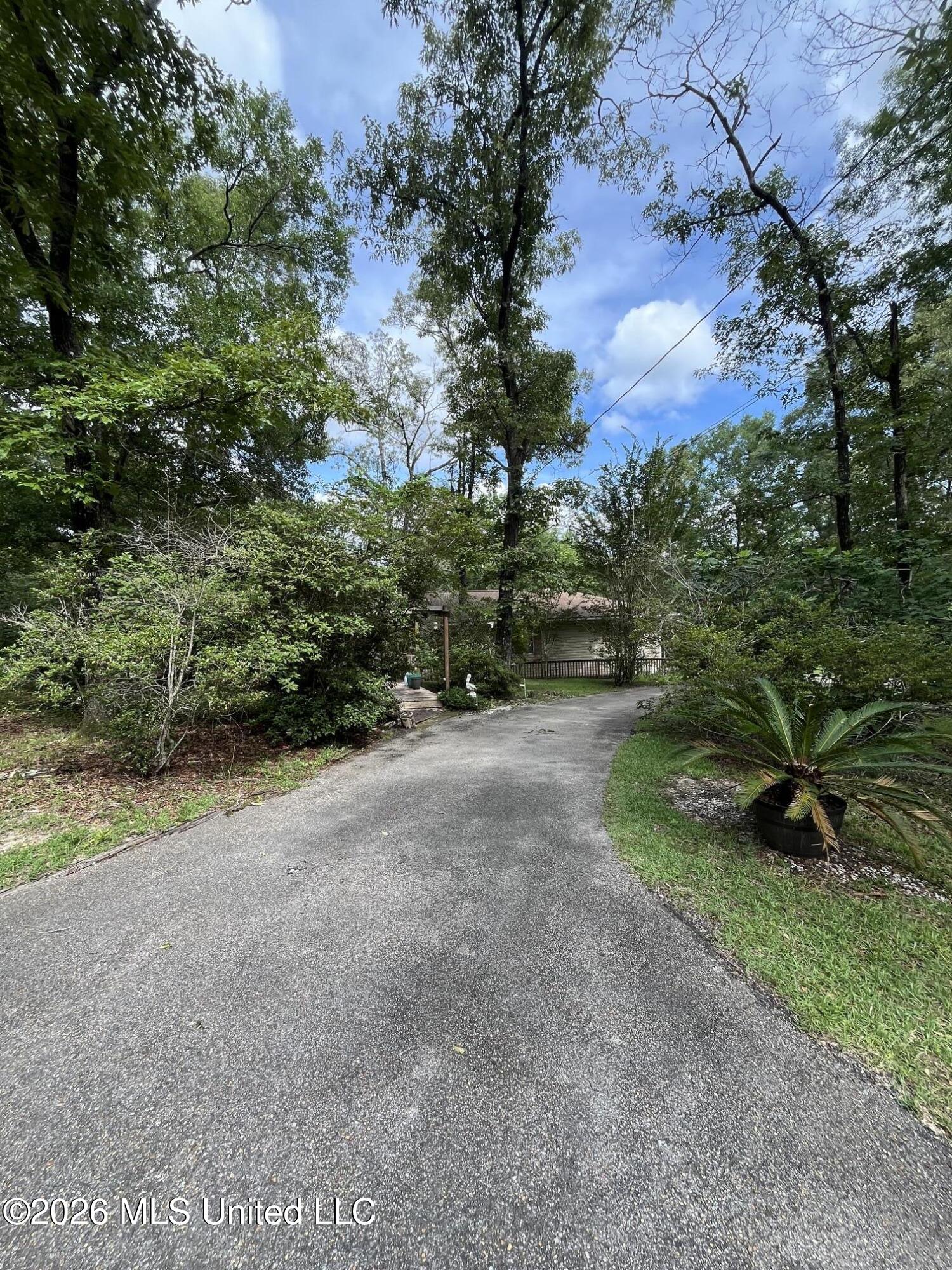 405 Old Highway 49 Property Photo 19