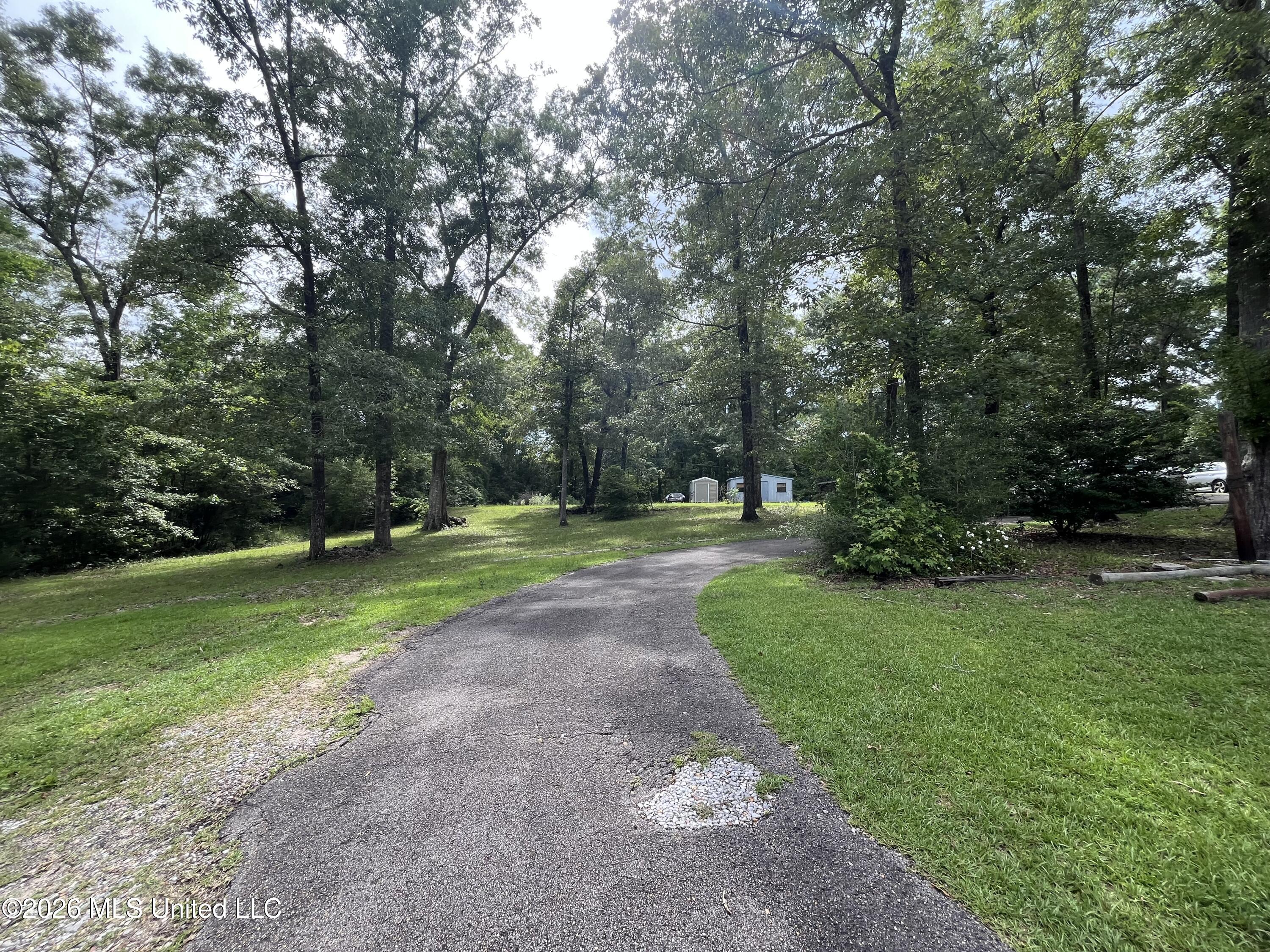 405 Old Highway 49 Property Photo 20