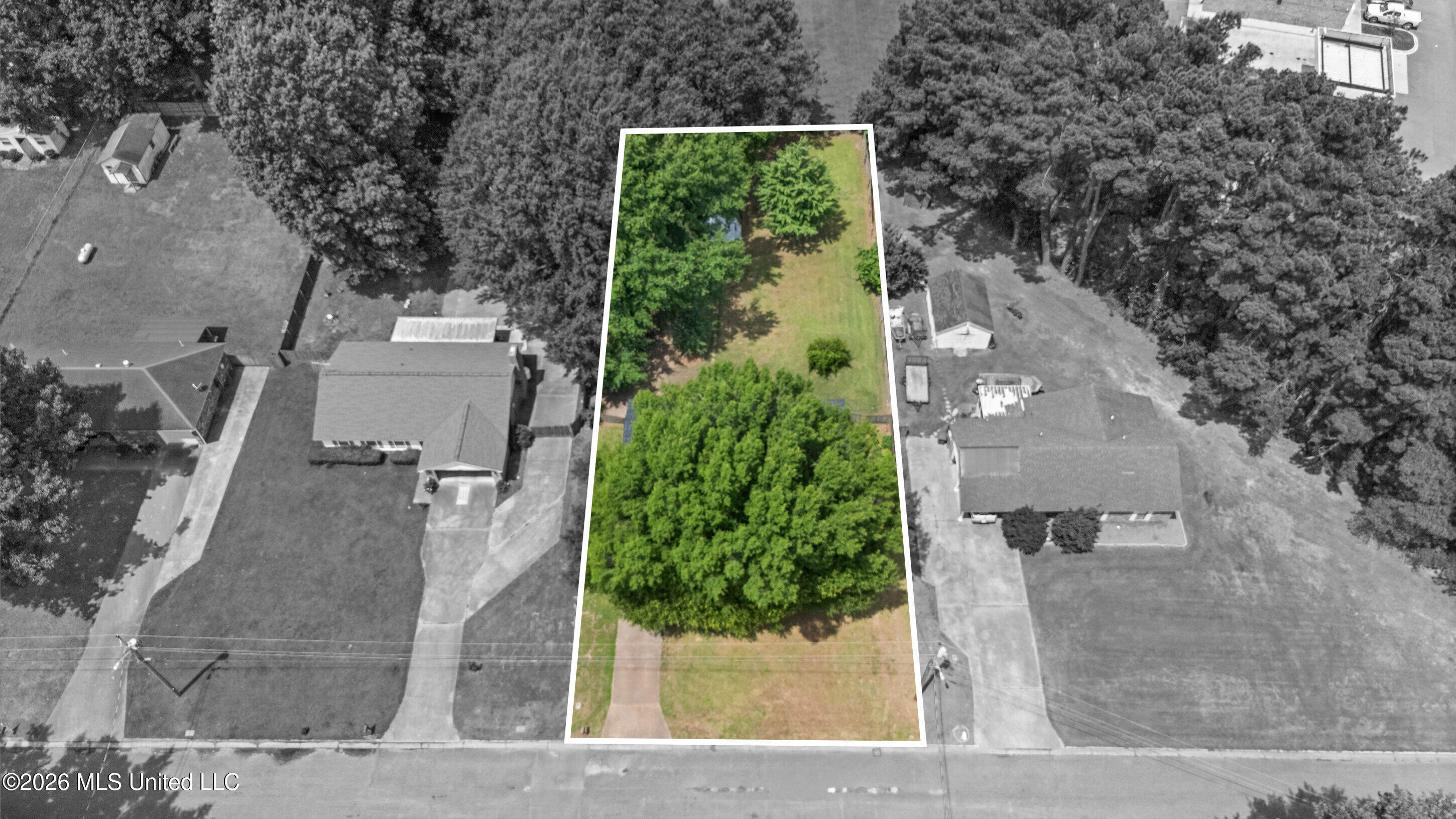 203 Lanelle Cove Property Photo 26