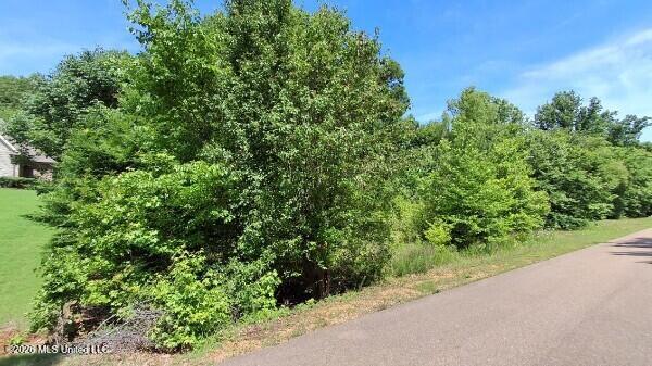 4419 W Dickens Place Drive Property Photo 1