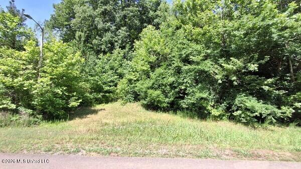 4419 W Dickens Place Drive Property Photo 4