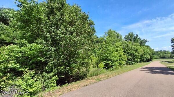 4419 W Dickens Place Drive Property Photo 6