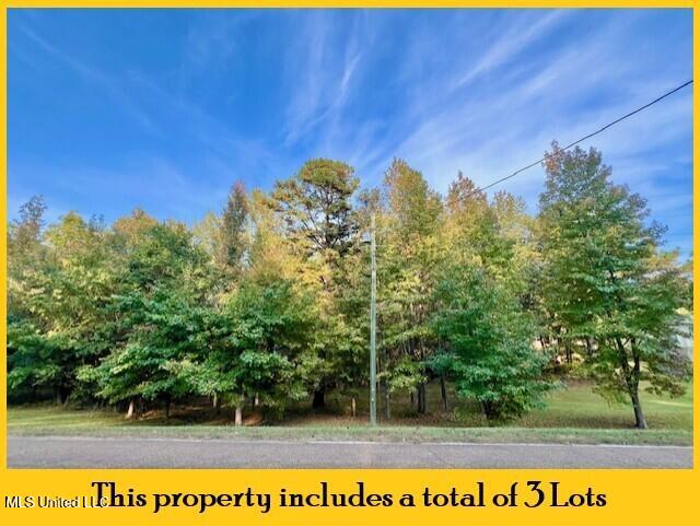 1810 County Road 170 Property Photo 5