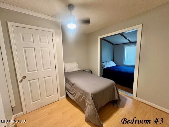 1810 County Road 170 Property Photo 40