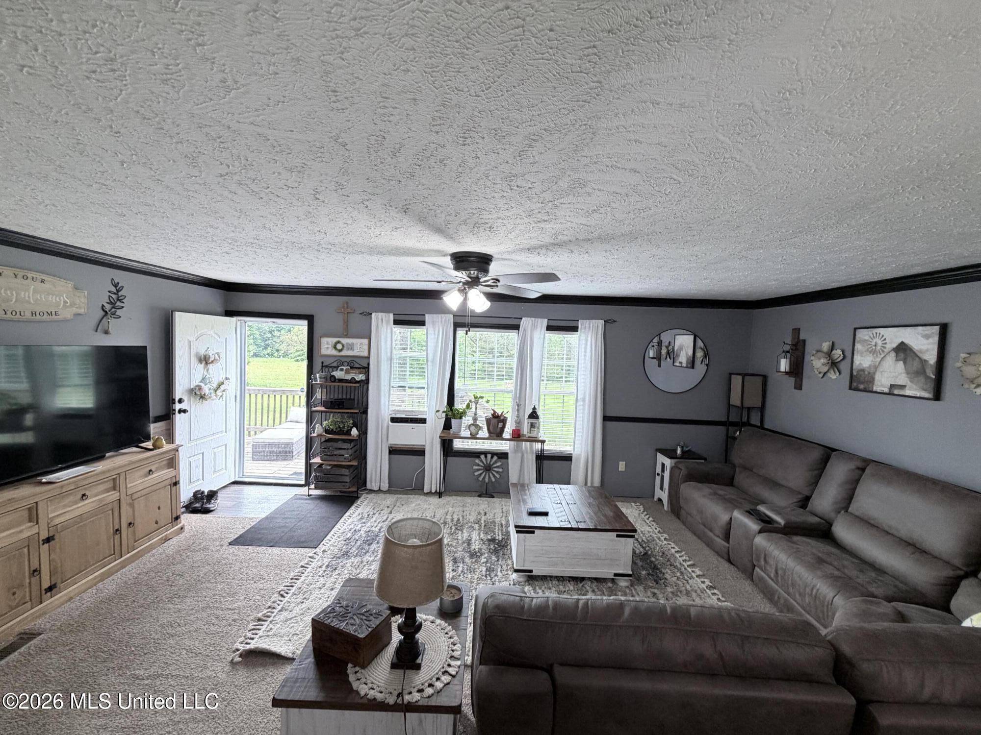 439 County Road 444 Property Photo 3