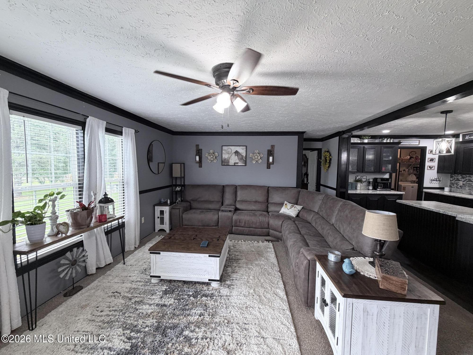 439 County Road 444 Property Photo 5