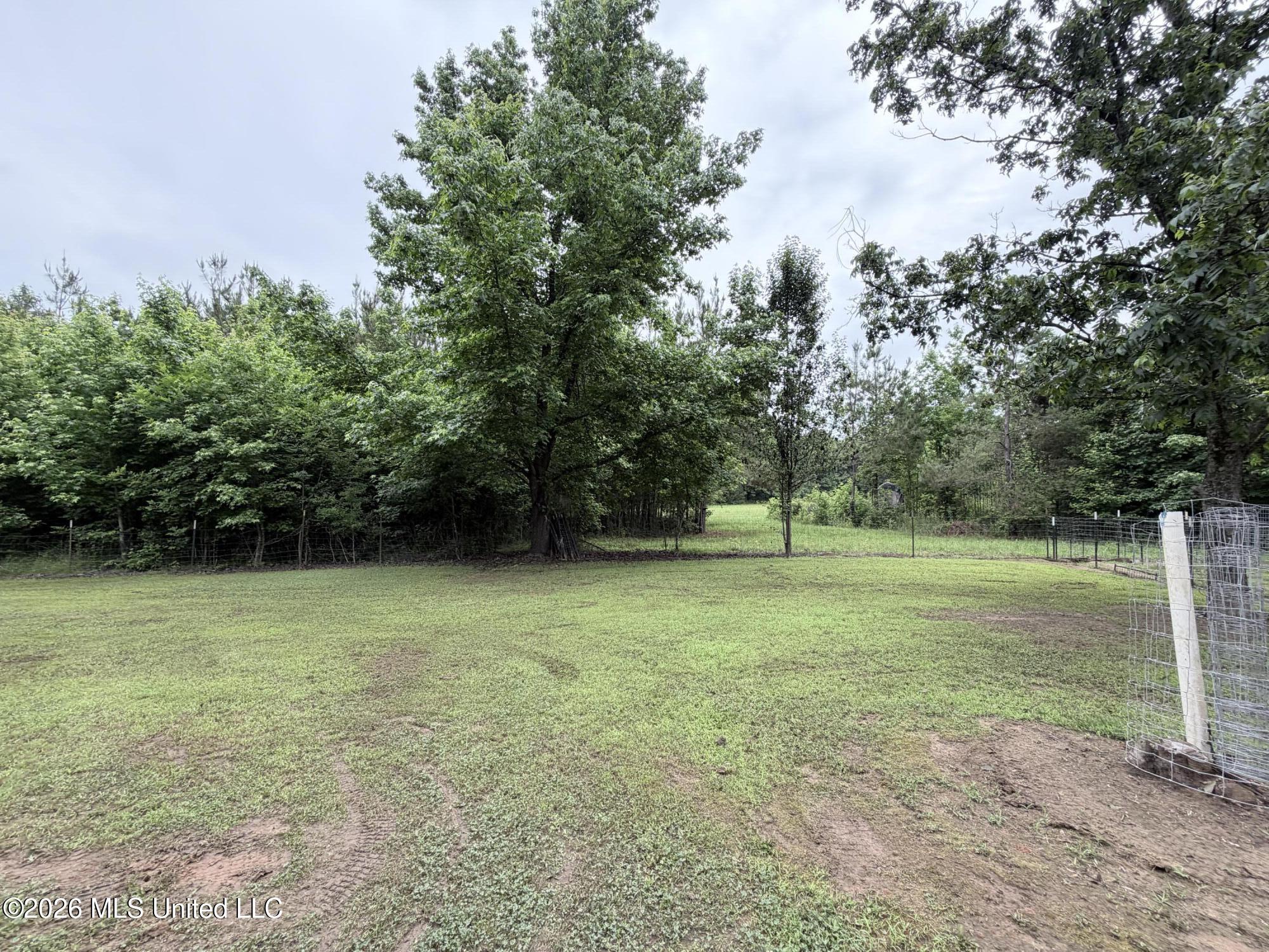 439 County Road 444 Property Photo 31