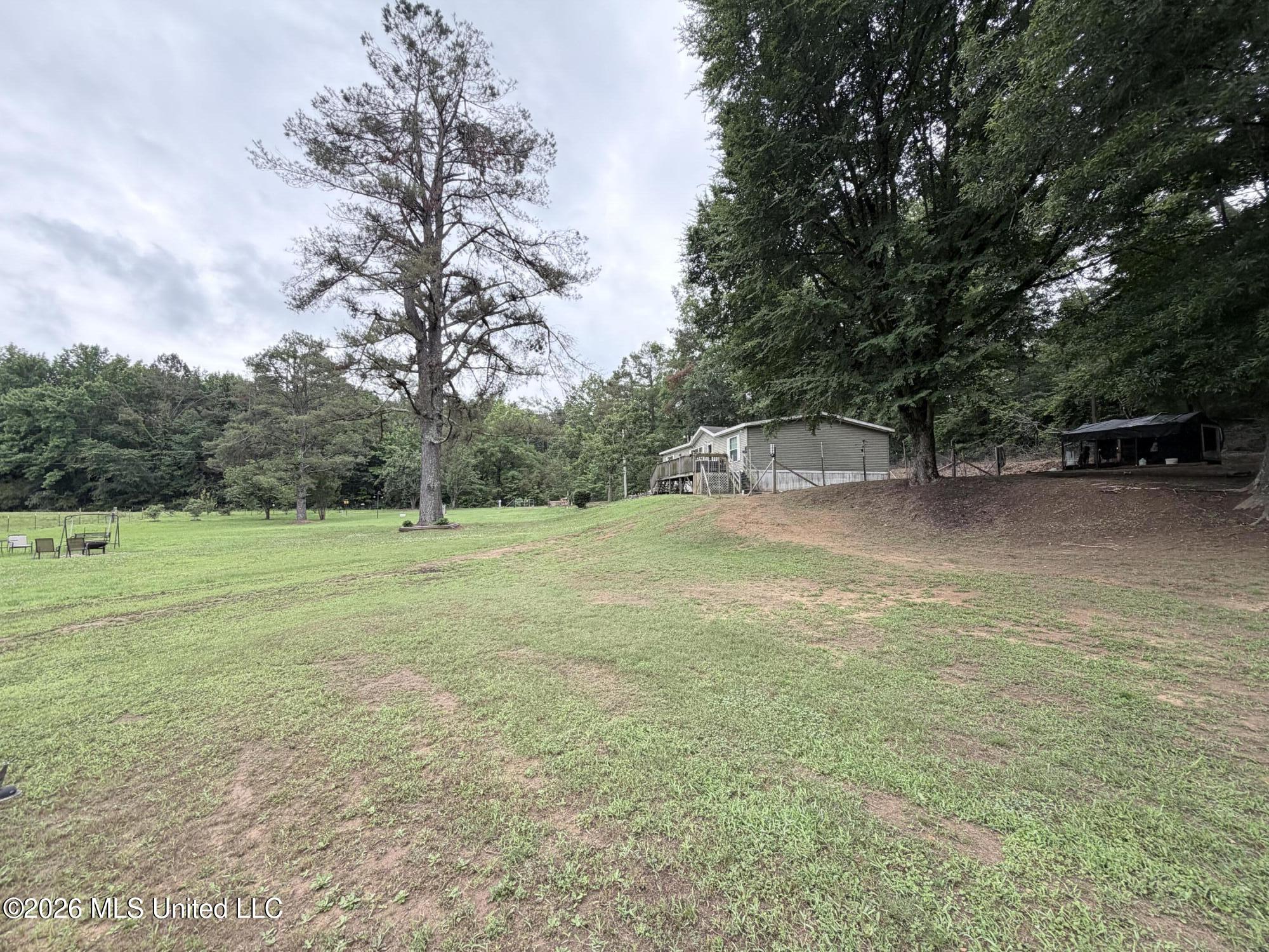 439 County Road 444 Property Photo 32