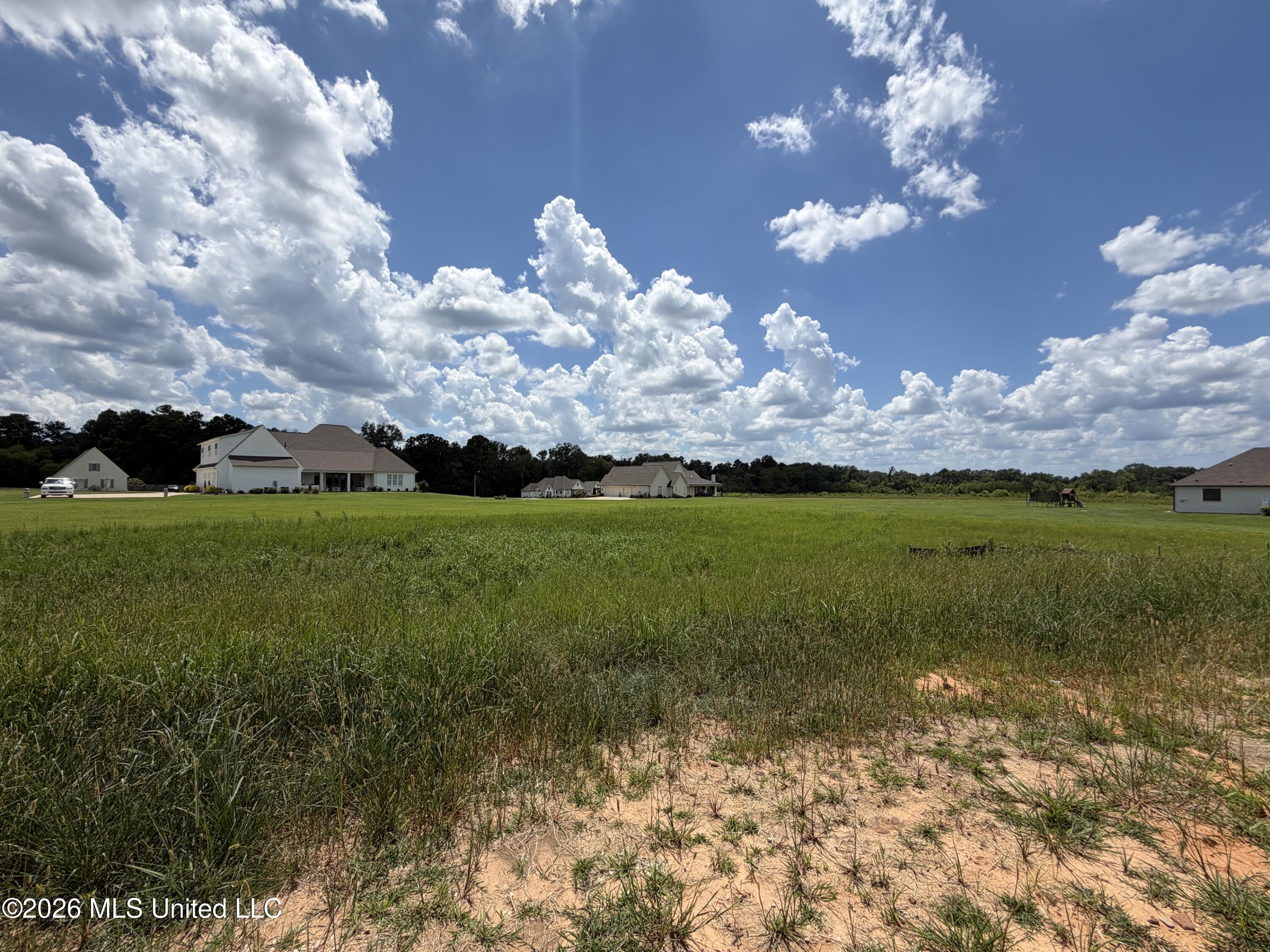 930 Mulberry Drive Property Photo 6