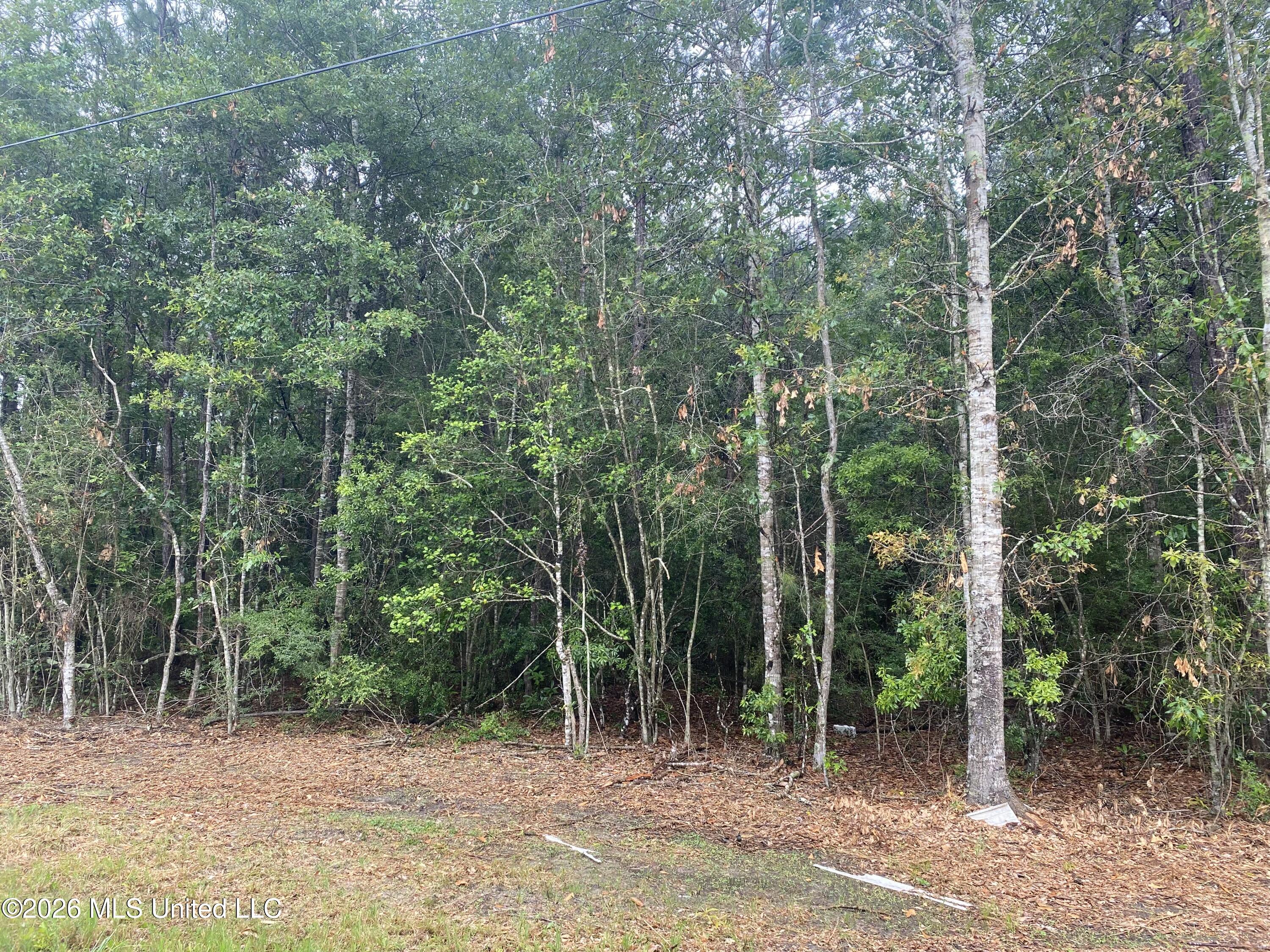 21205 S Fork Road Property Photo 3