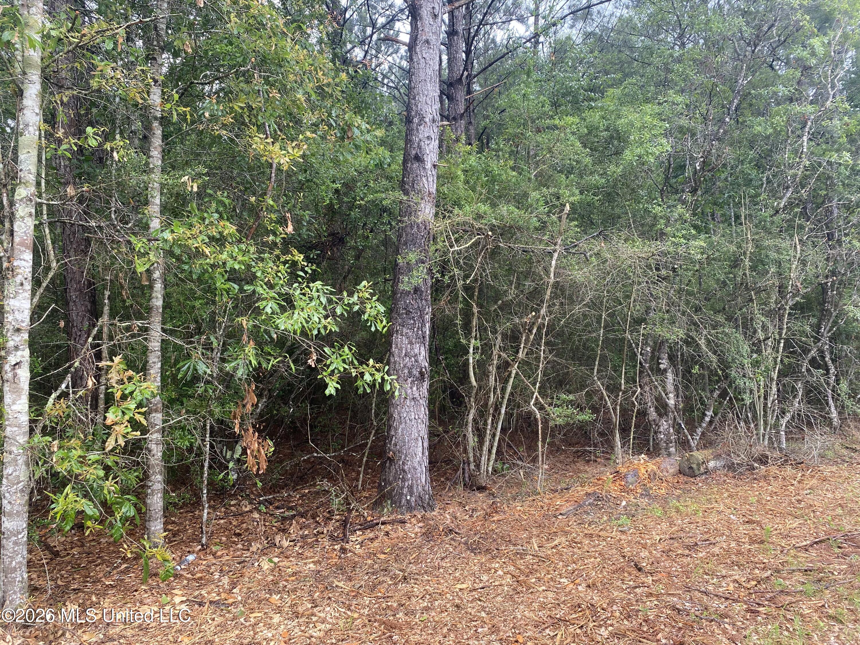 21205 S Fork Road Property Photo 4