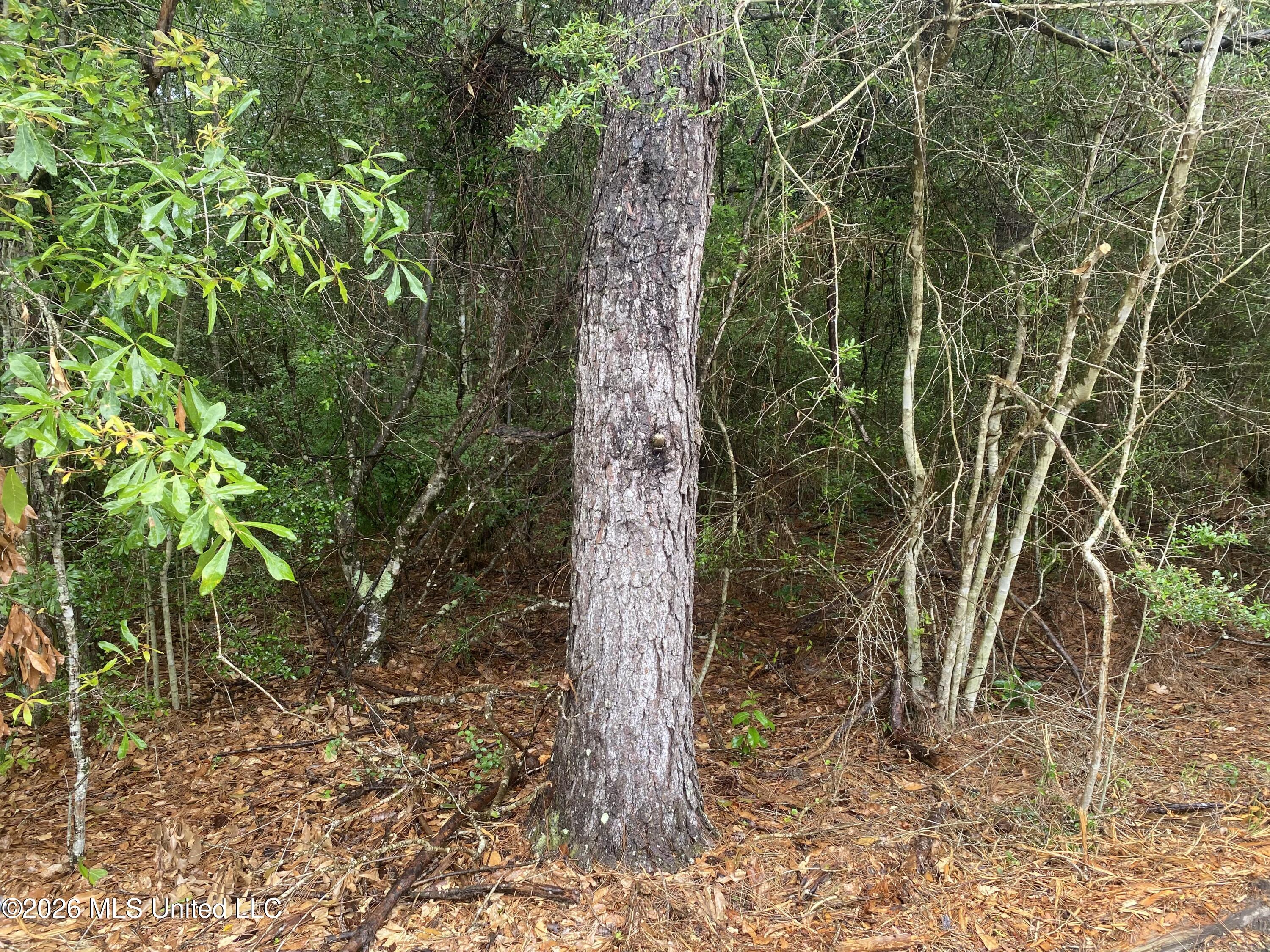 21205 S Fork Road Property Photo 5