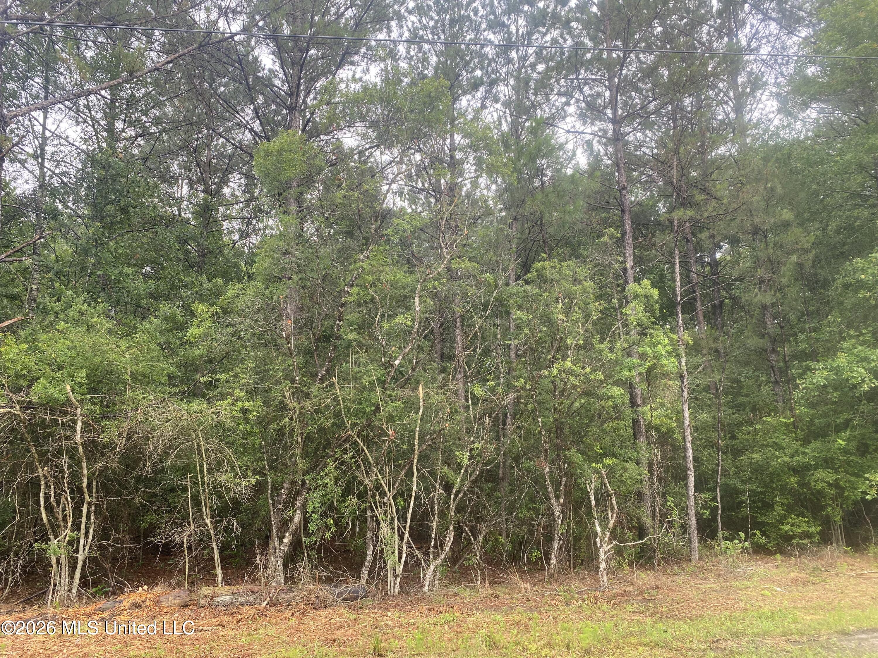 21205 S Fork Road Property Photo 6