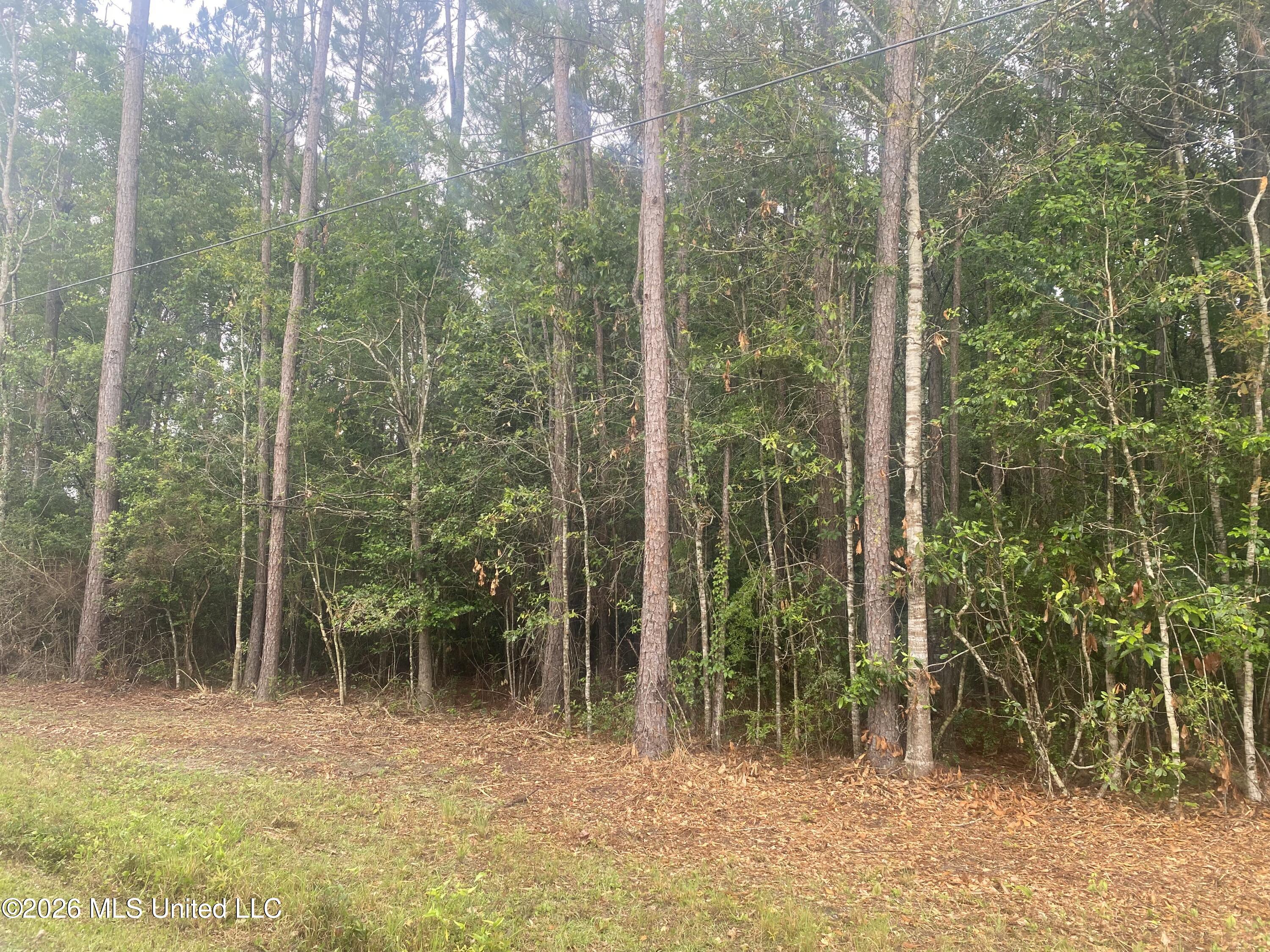 21205 S Fork Road Property Photo 7