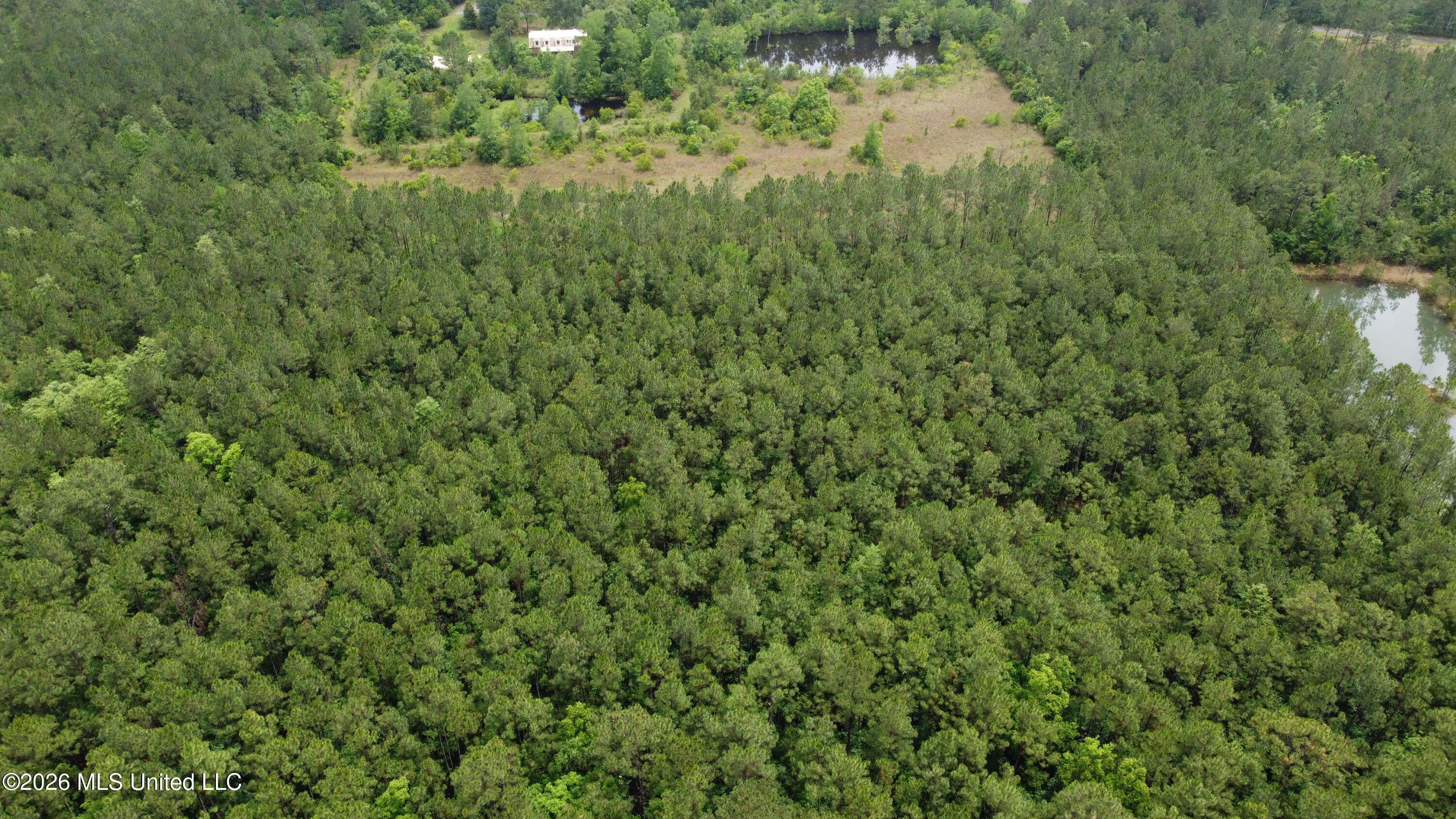 21205 S Fork Road Property Photo 10