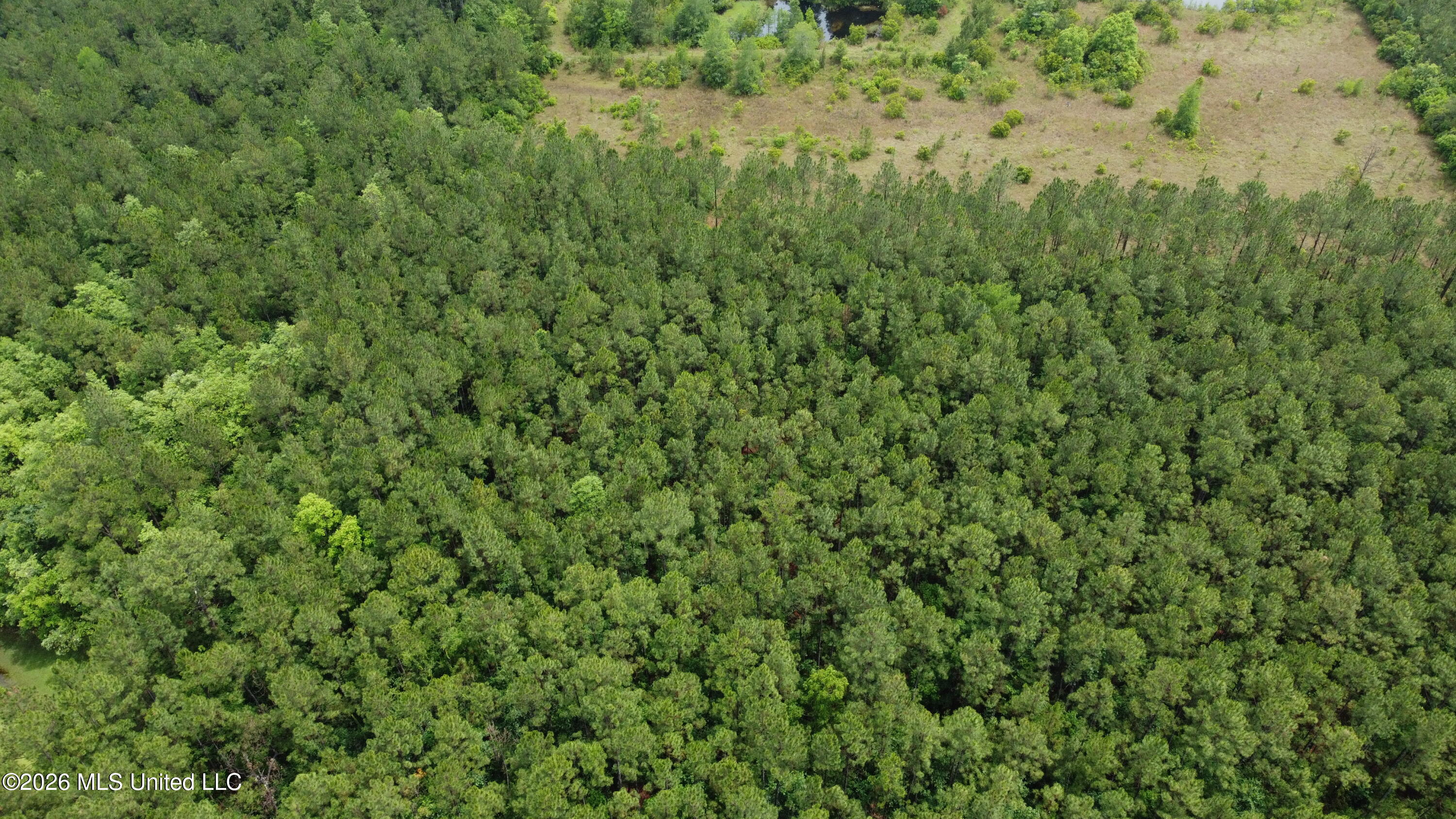 21205 S Fork Road Property Photo 12