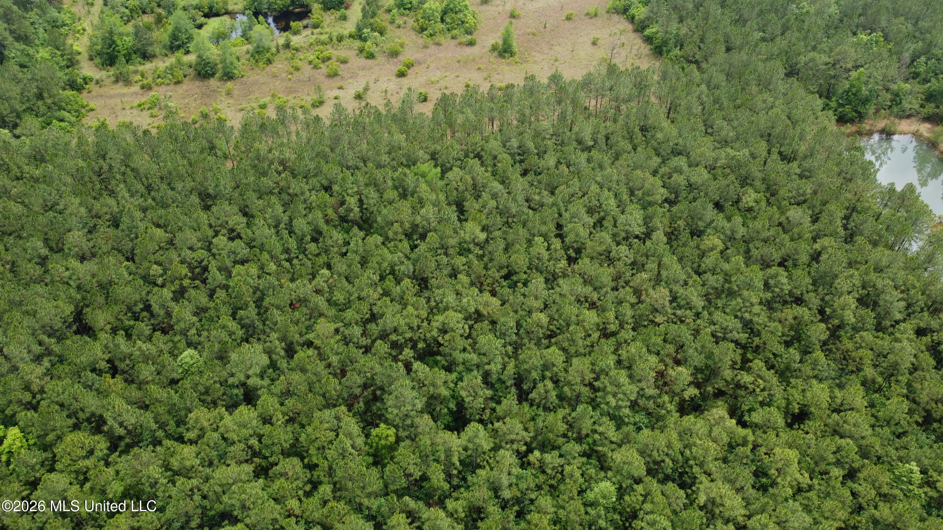 21205 S Fork Road Property Photo 13