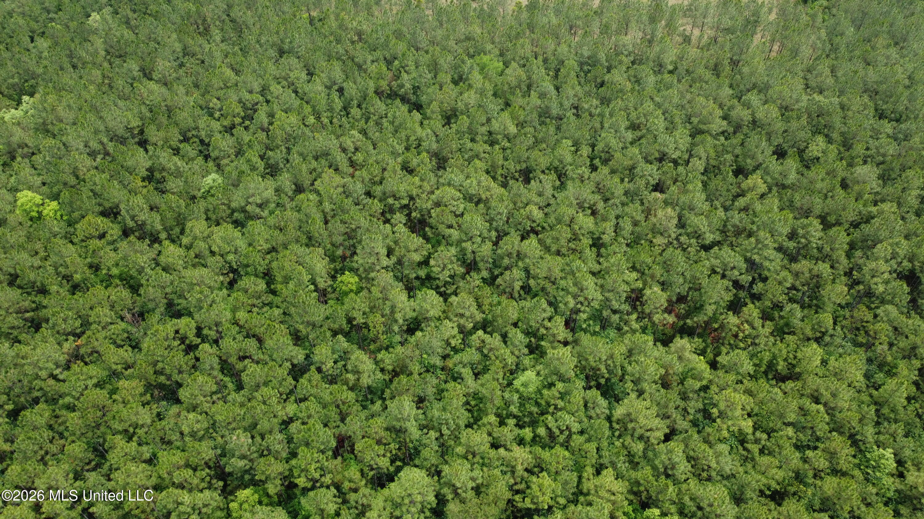 21205 S Fork Road Property Photo 19