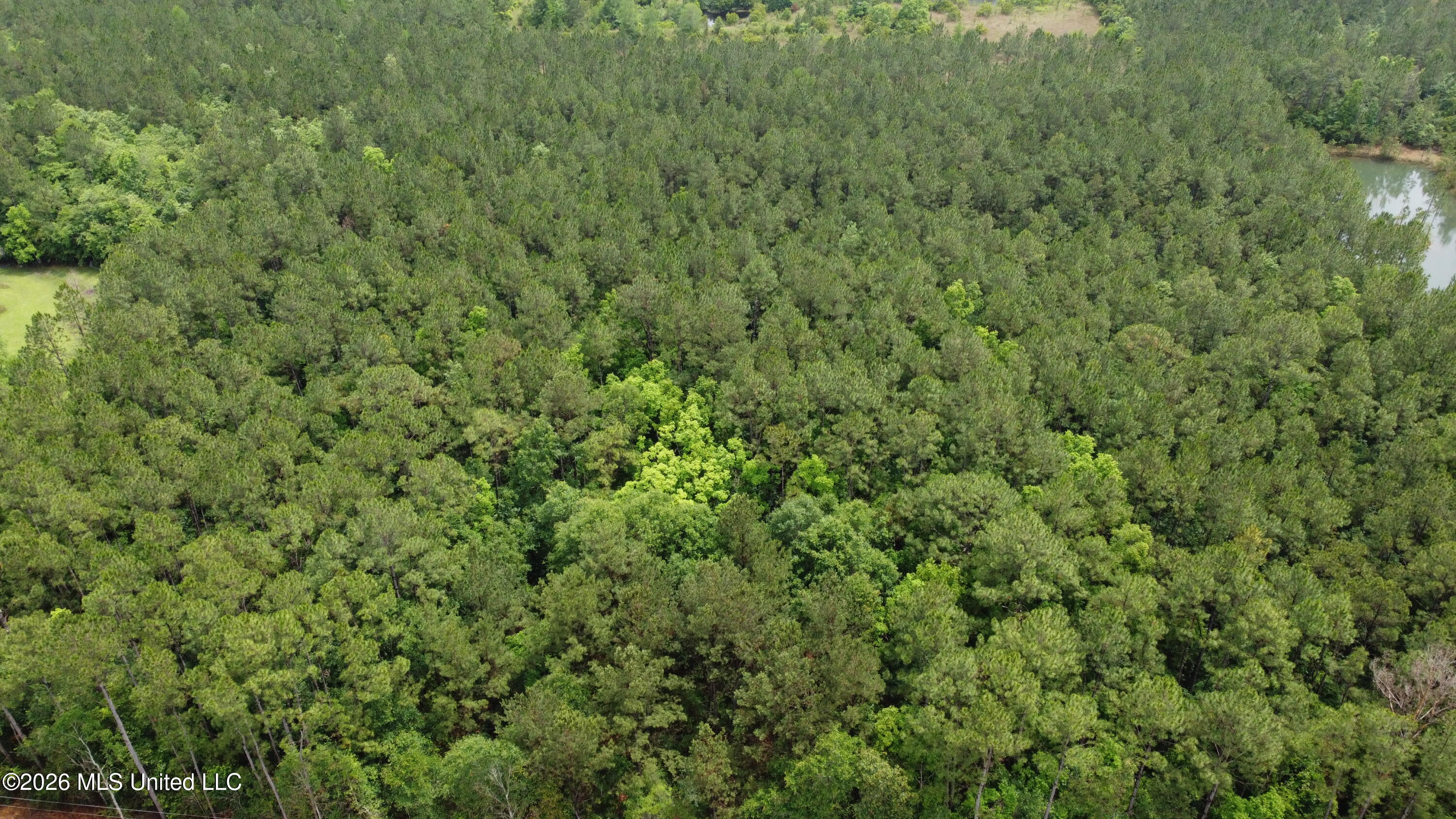 21205 S Fork Road Property Photo 20