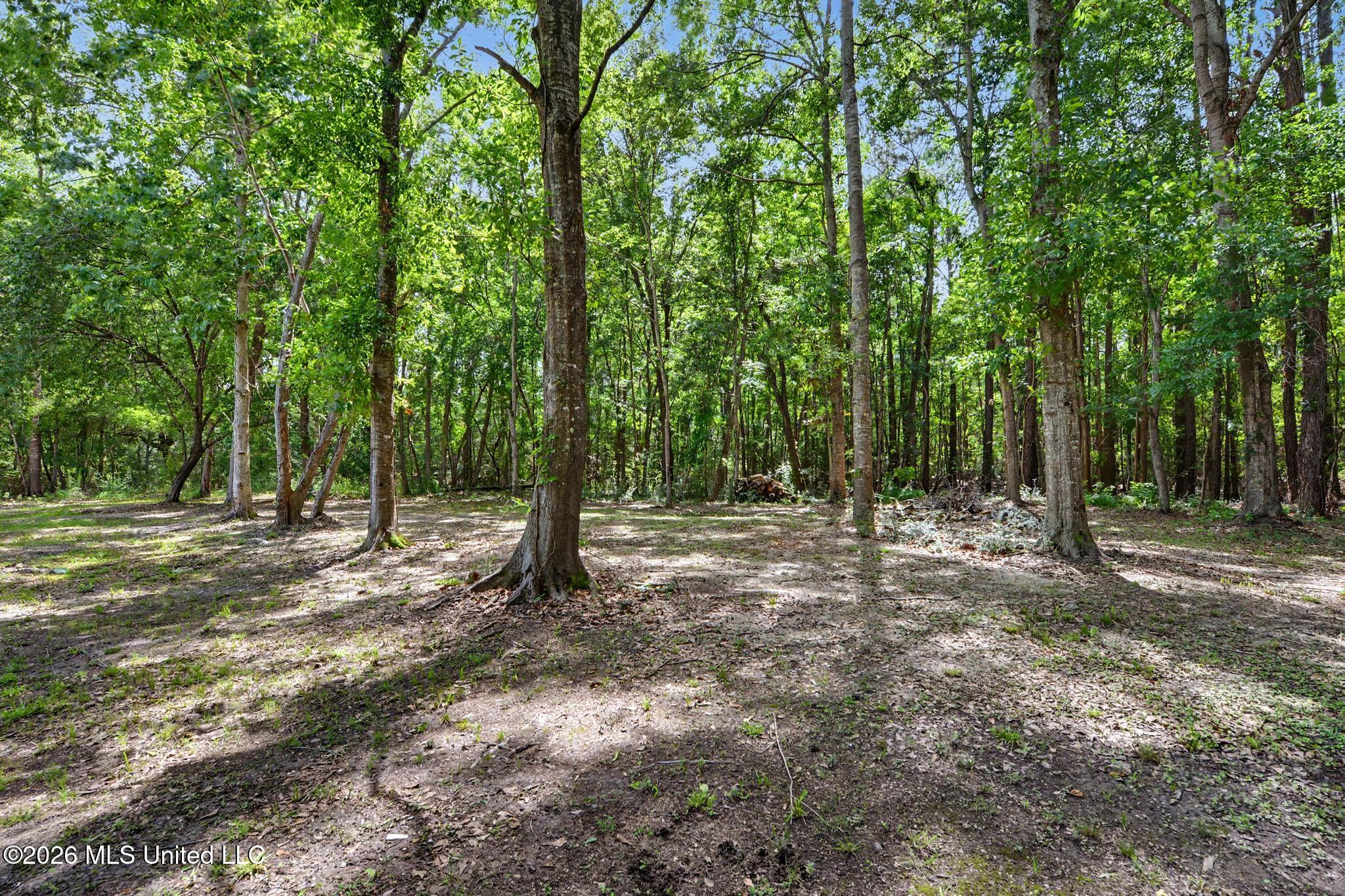 5900 Brown Road Property Photo 10